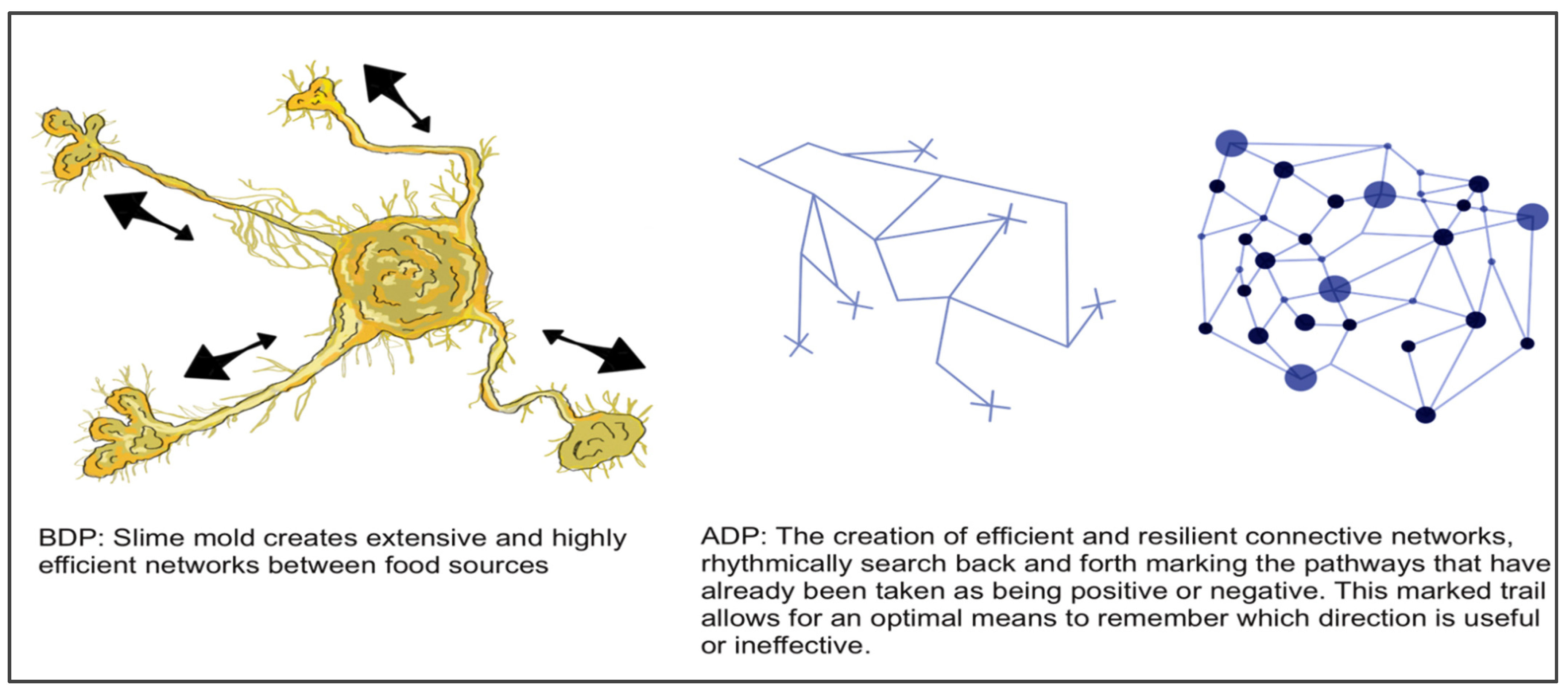 Biomimetics 07 00184 g004