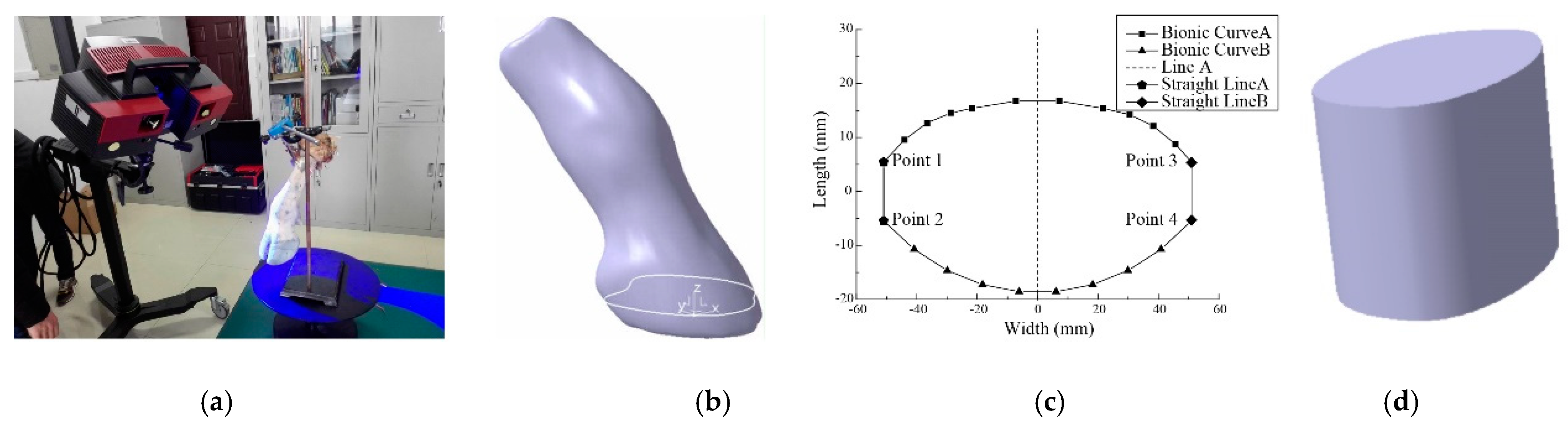 Biomimetics 07 00185 g001