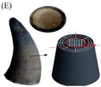 Biomimetics 07 00186 i005 Biomimetics 07 00186 i005