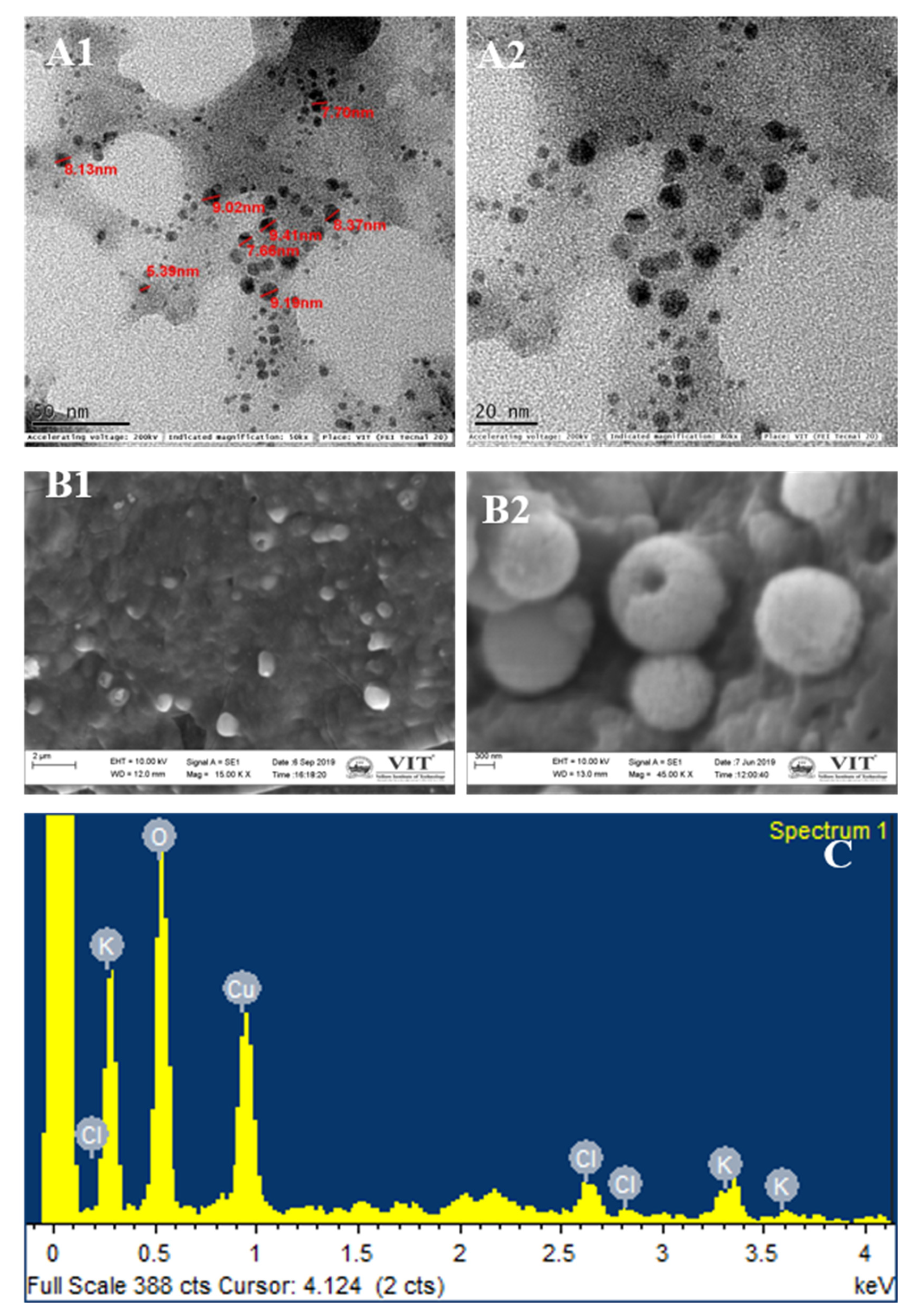 Biomimetics 07 00189 g006 Biomimetics 07 00189 g006