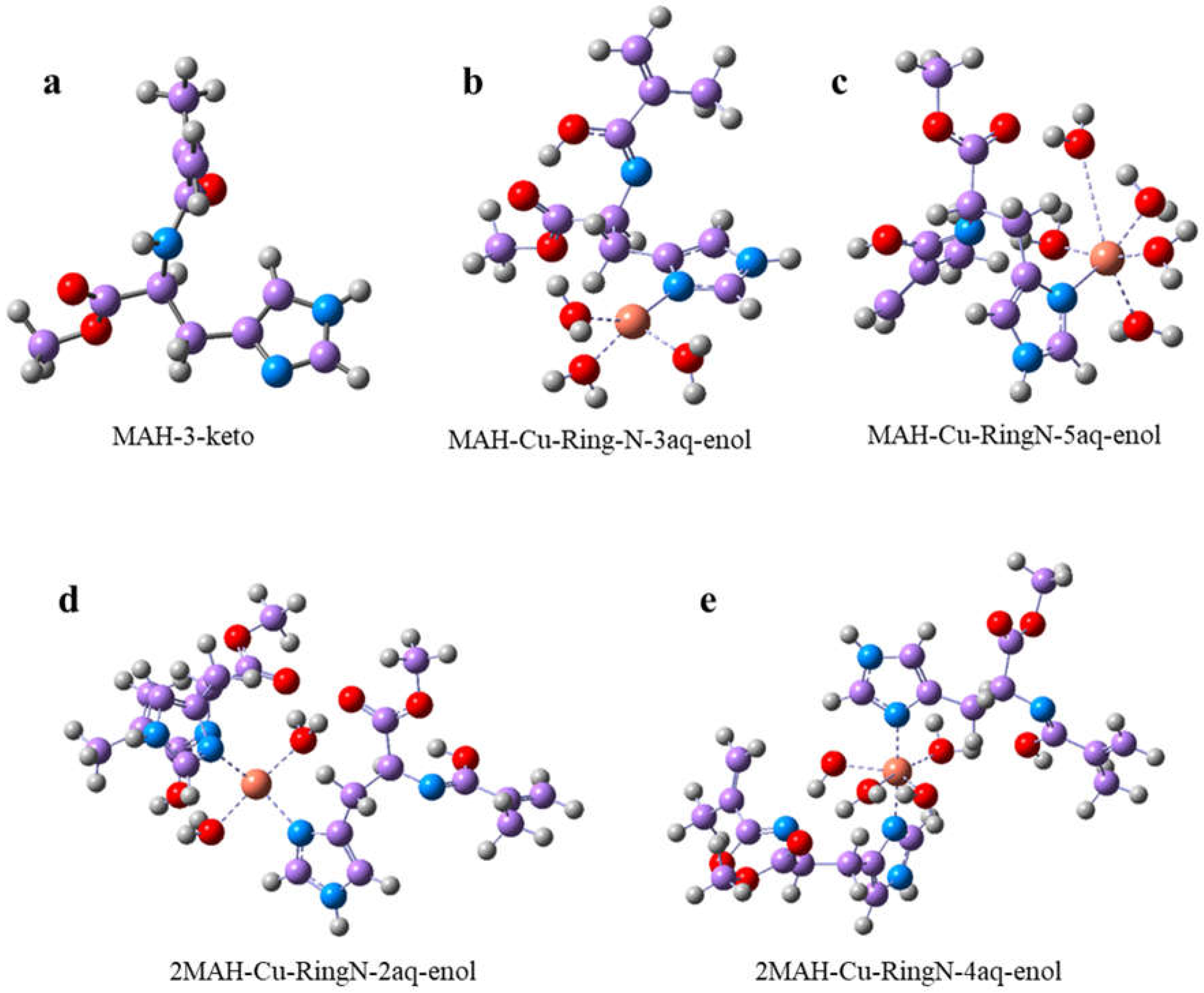 Biomimetics 07 00191 g001