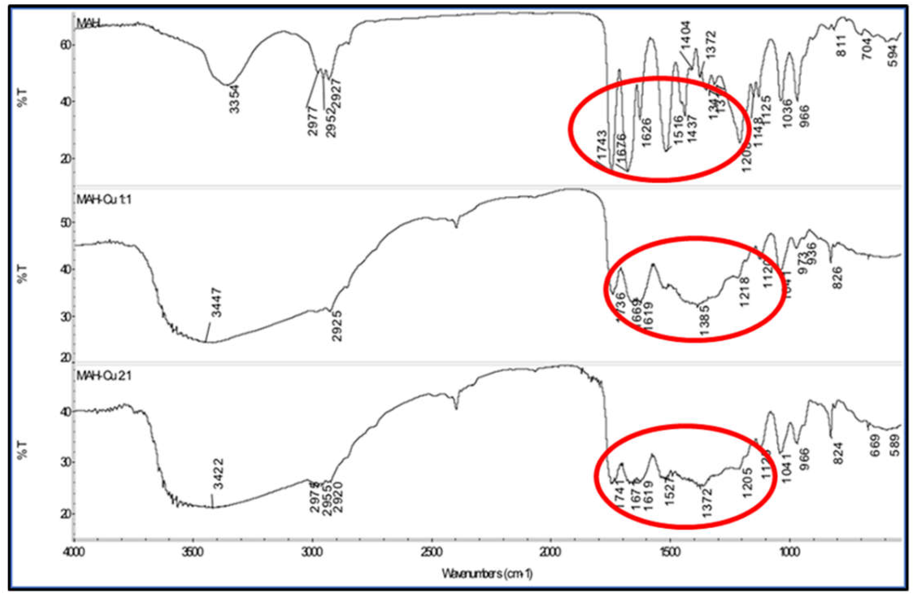 Biomimetics 07 00191 g002