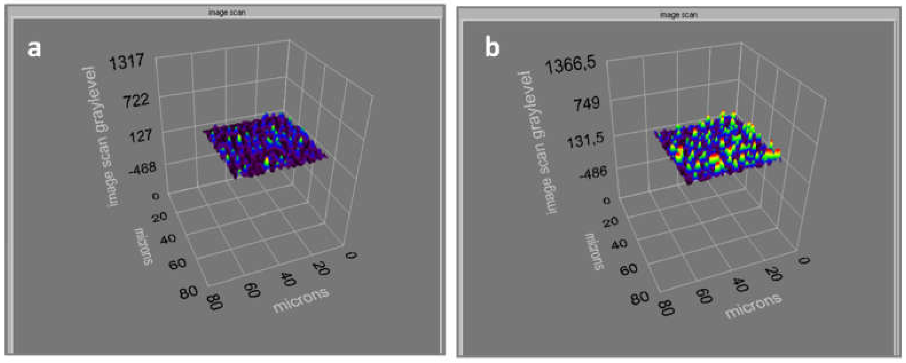 Biomimetics 07 00191 g003