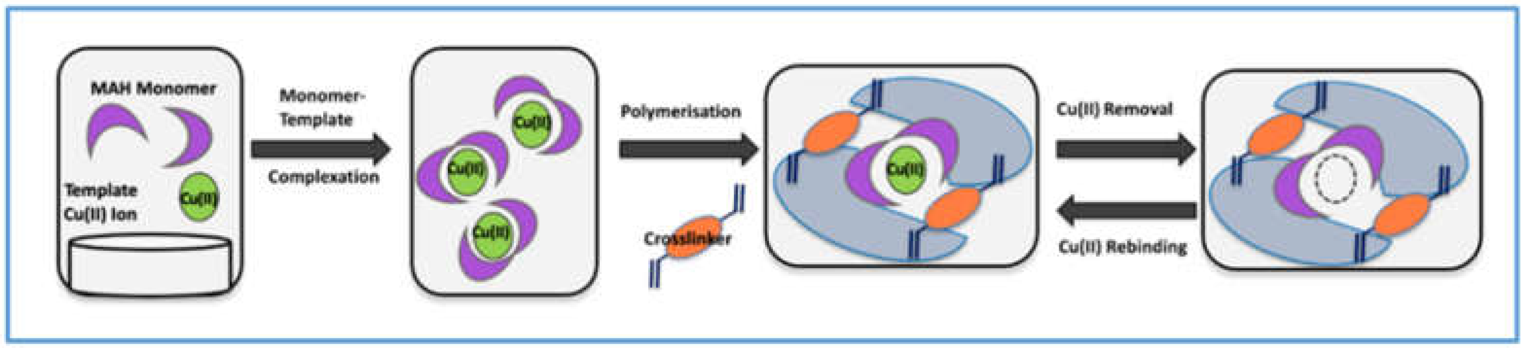 Biomimetics 07 00191 sch001