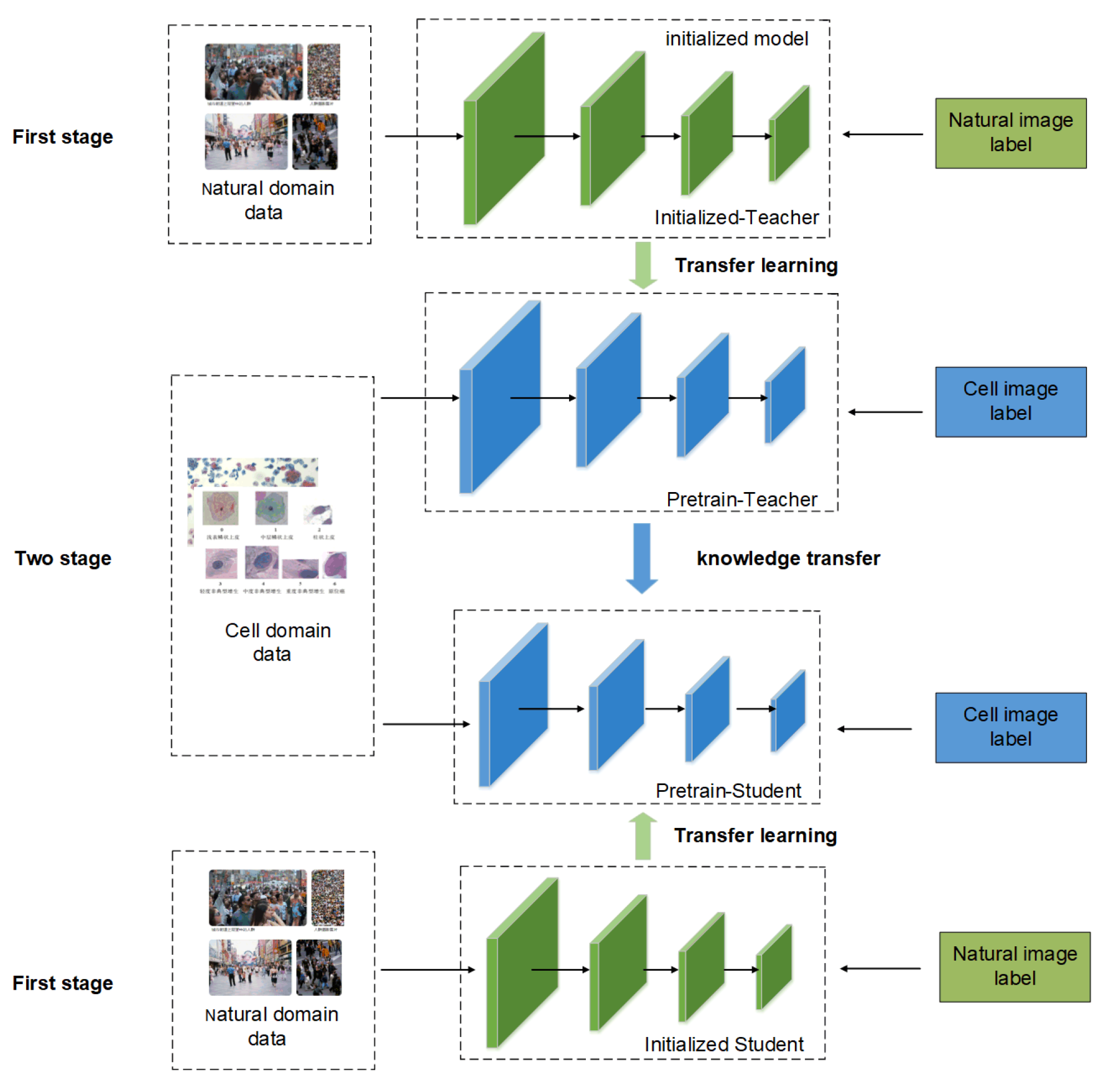 Biomimetics 07 00195 g001 Biomimetics 07 00195 g001