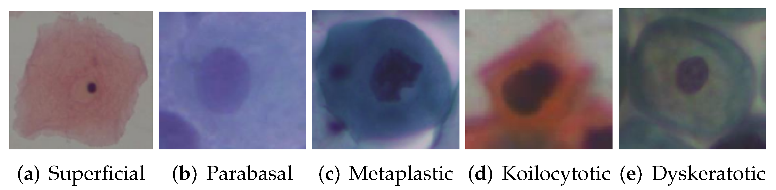 Biomimetics 07 00195 g003 Biomimetics 07 00195 g003