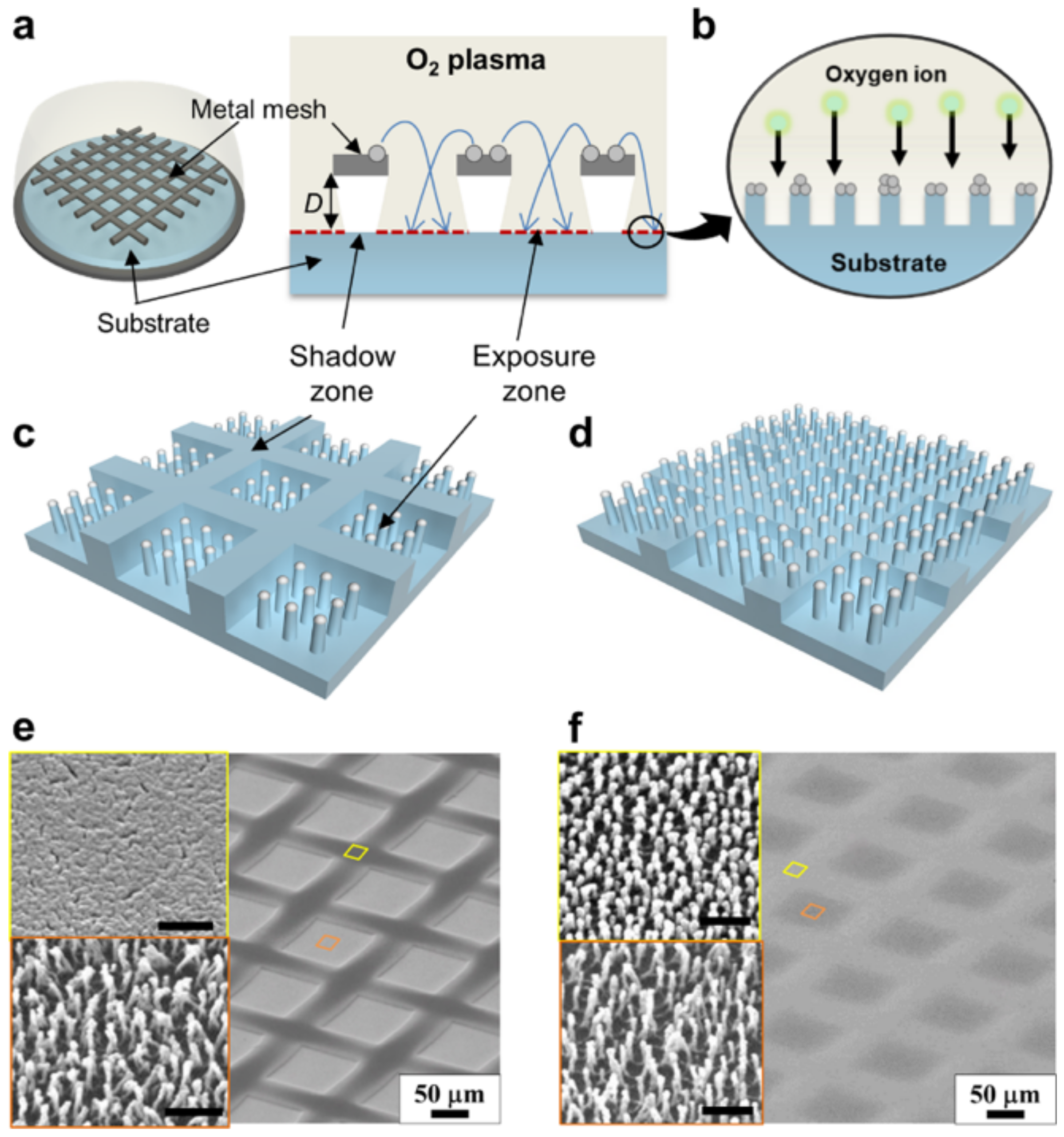Biomimetics 07 00196 g016 Biomimetics 07 00196 g016