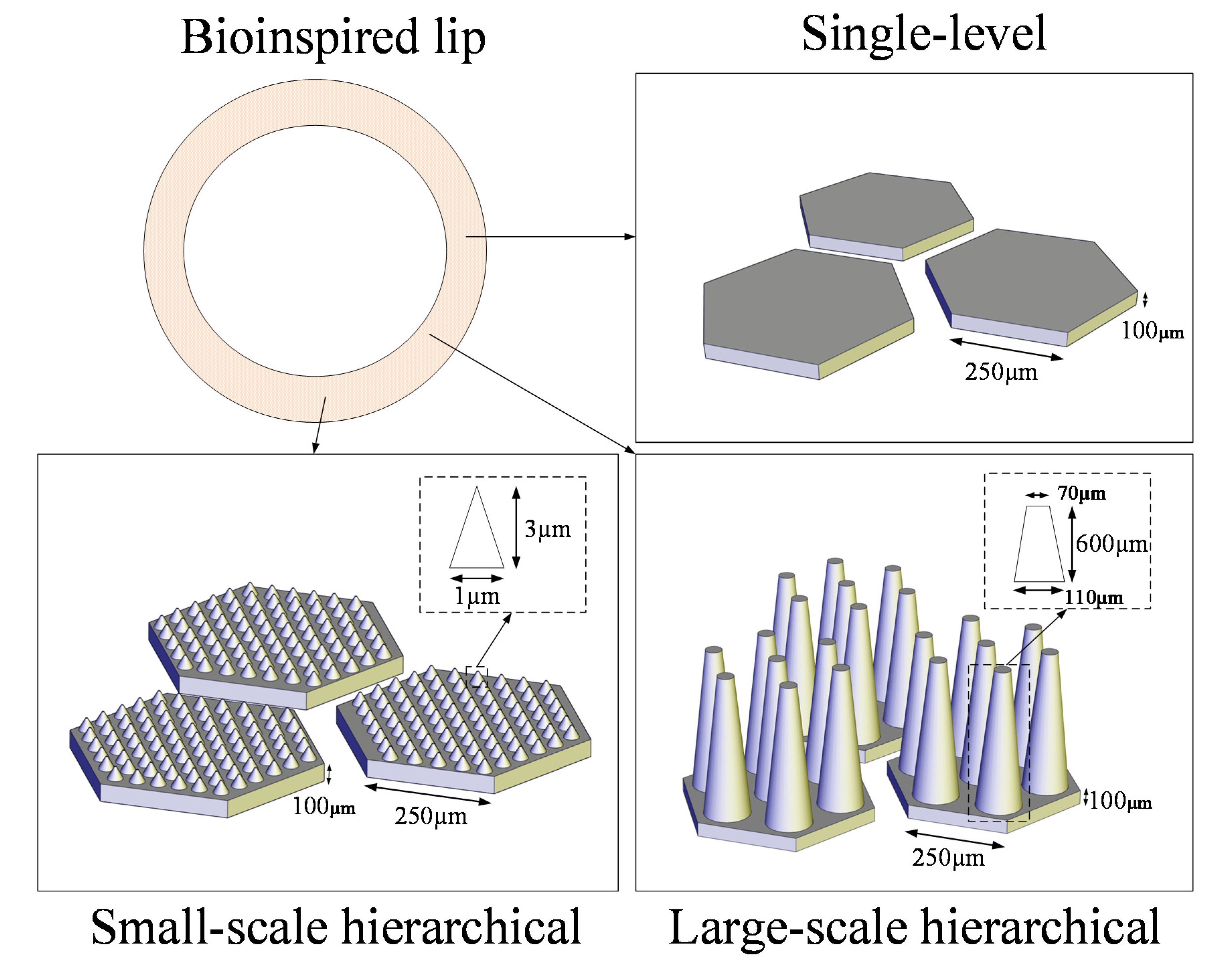 Biomimetics 07 00202 g002