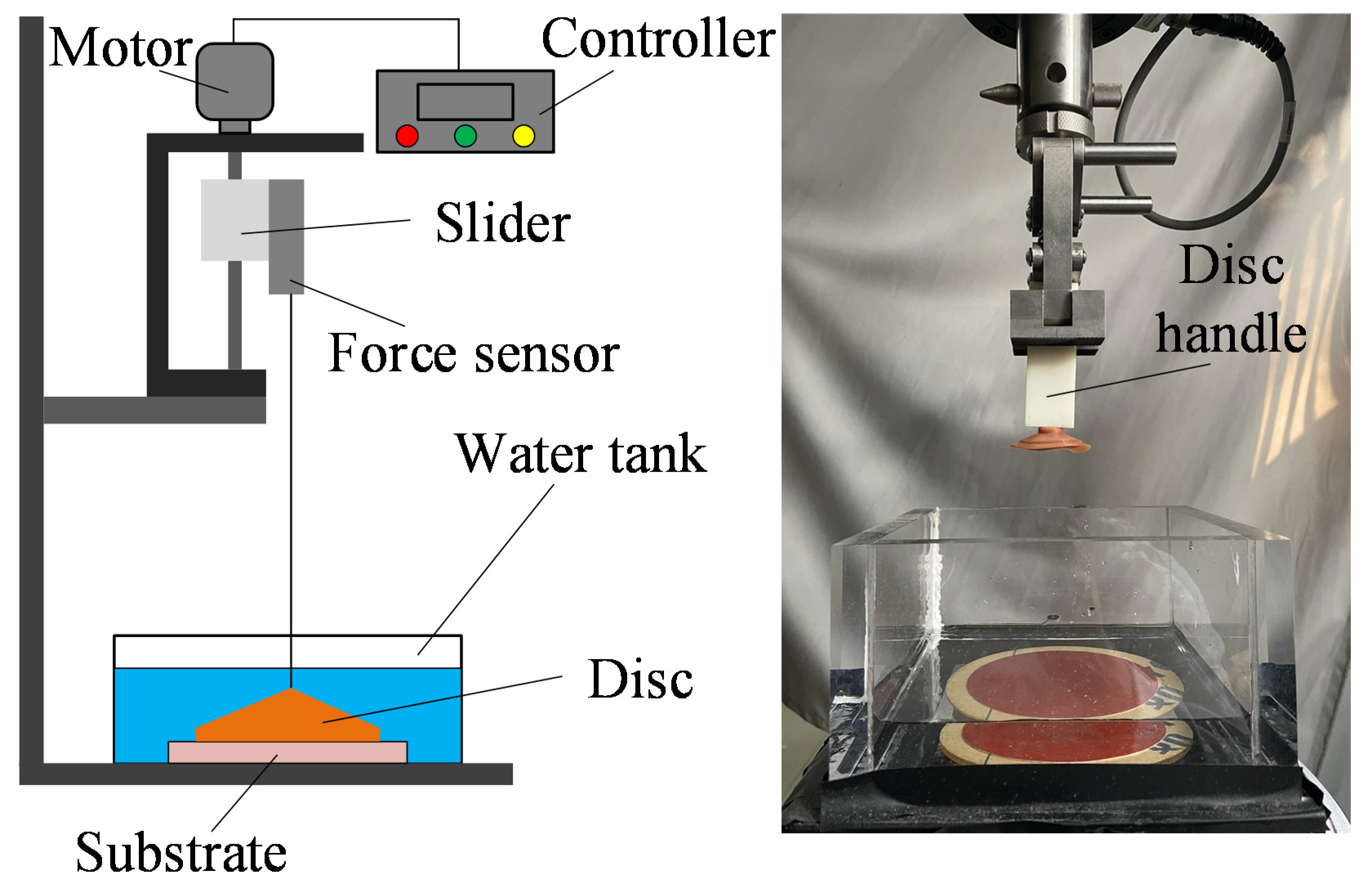 Biomimetics 07 00202 g004