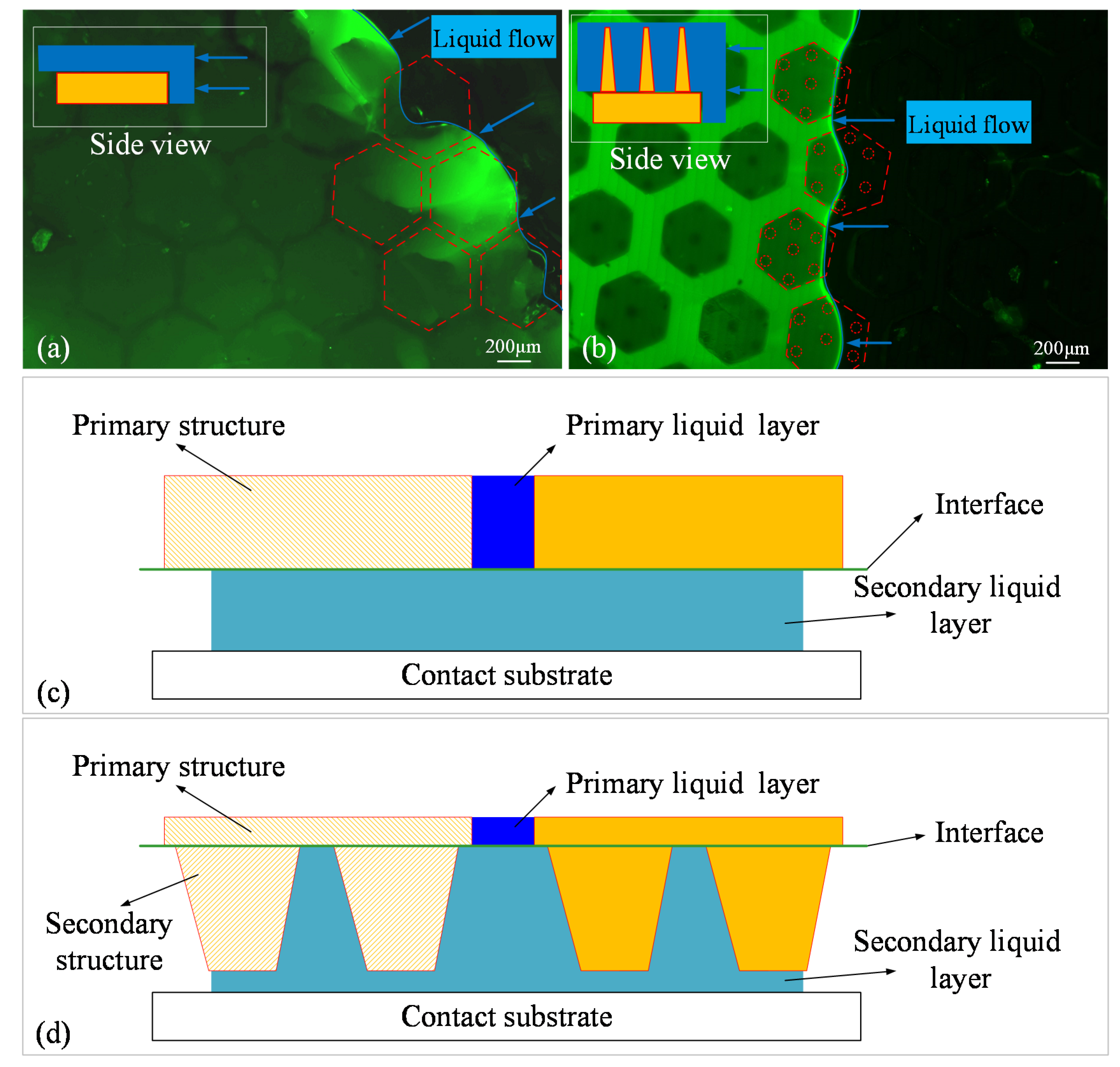 Biomimetics 07 00202 g010