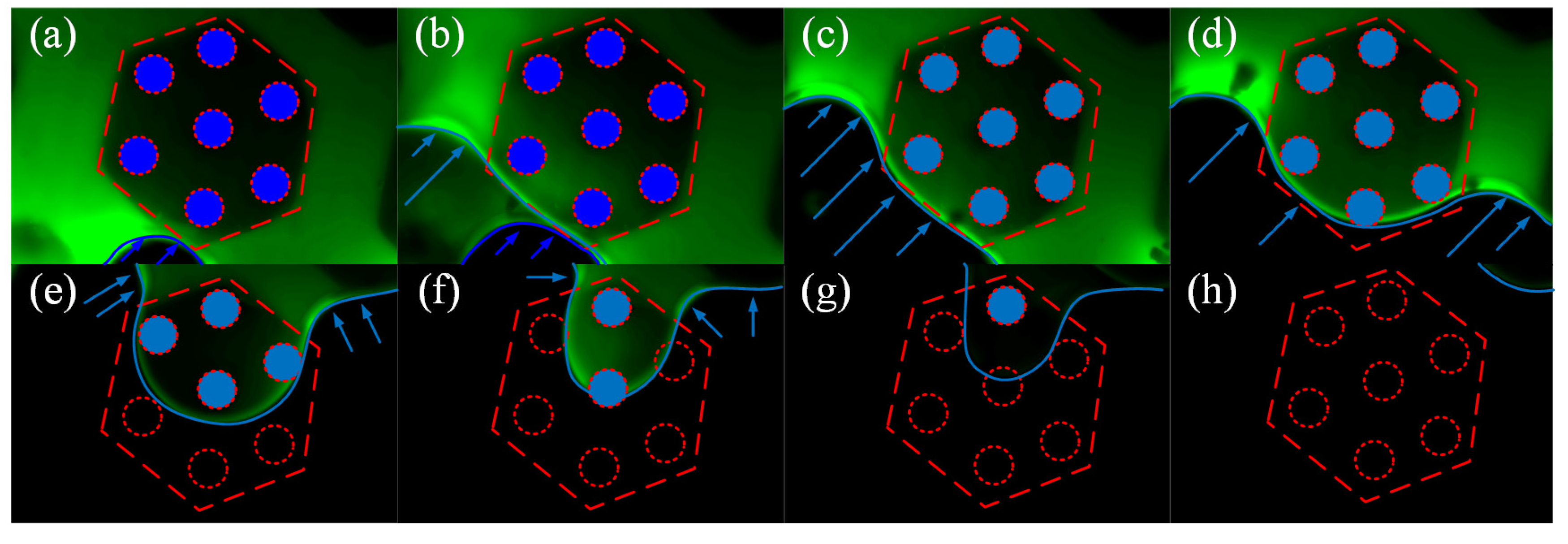Biomimetics 07 00202 g011