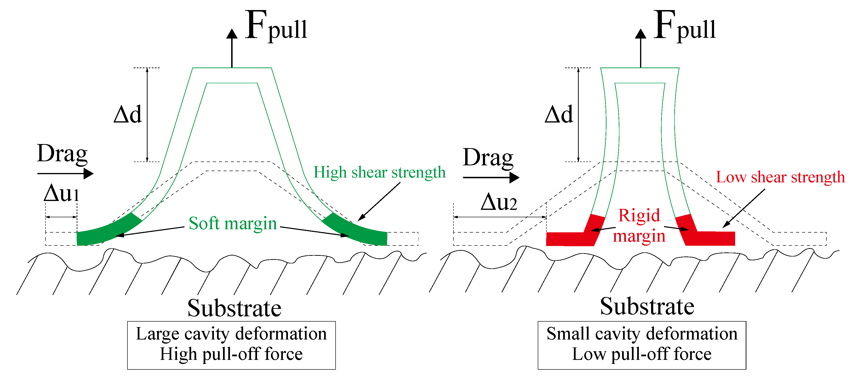 Biomimetics 07 00202 g014