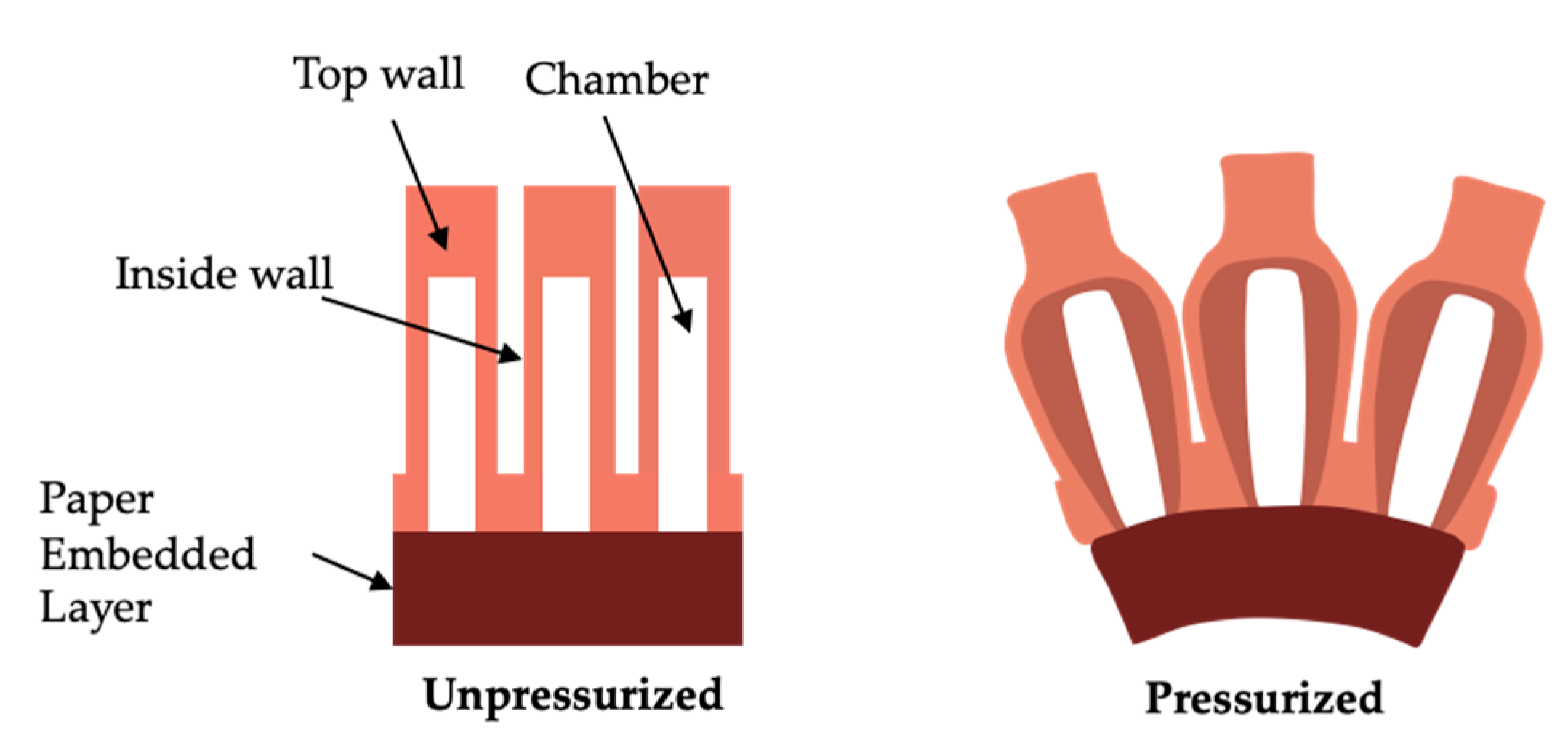 Biomimetics 07 00205 g003
