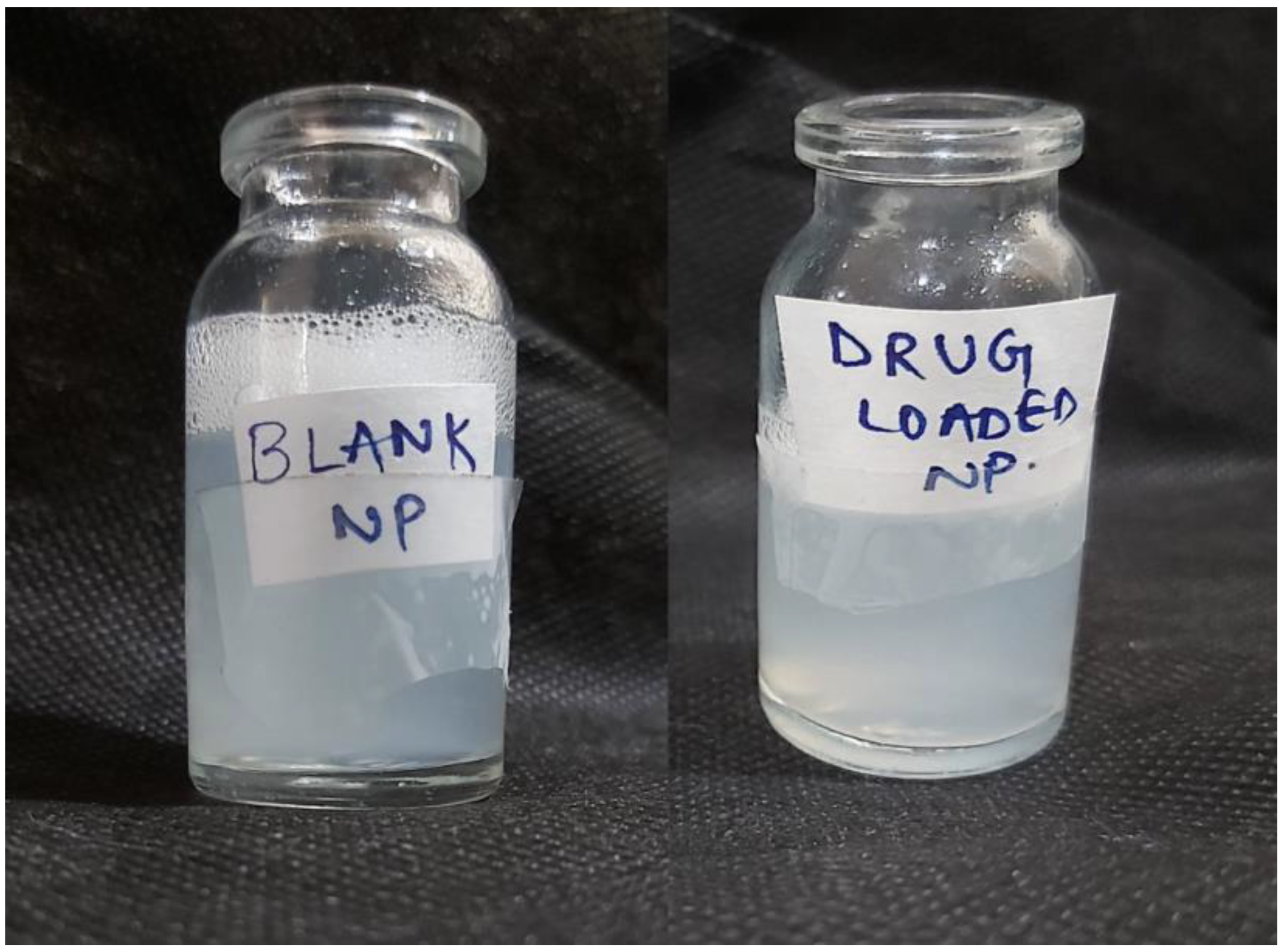 Biomimetics 07 00206 g001