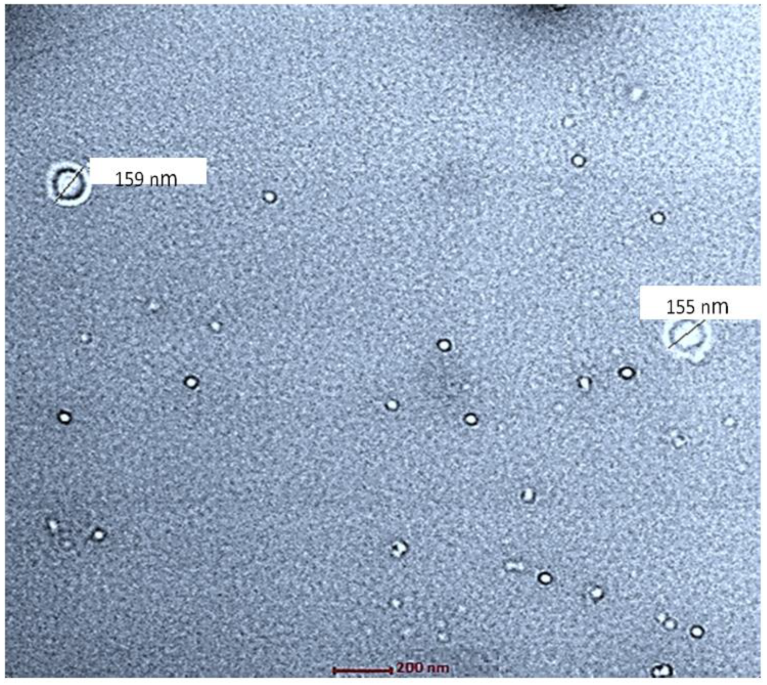 Biomimetics 07 00206 g004