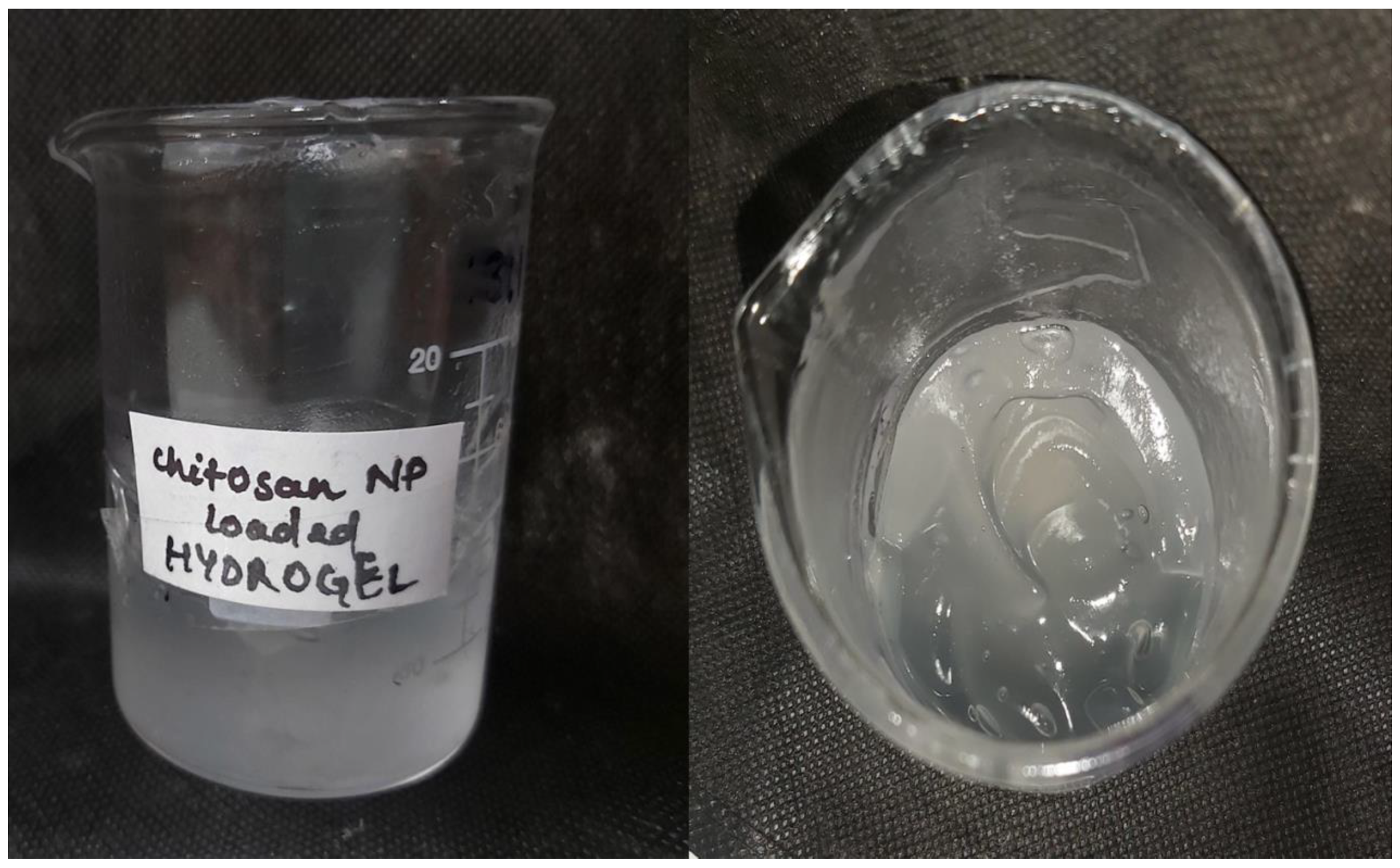 Biomimetics 07 00206 g007