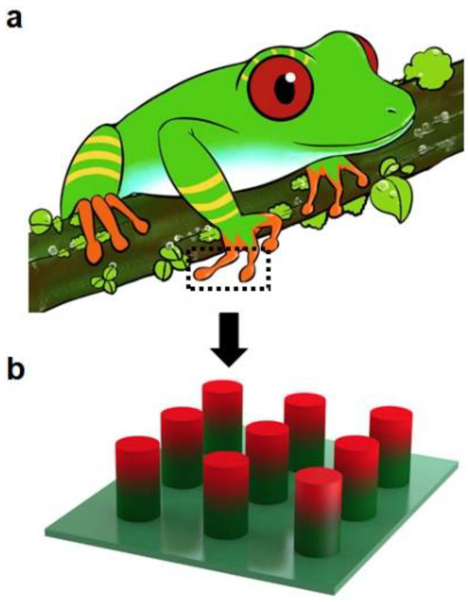 Biomimetics 07 00209 g001 Biomimetics 07 00209 g001