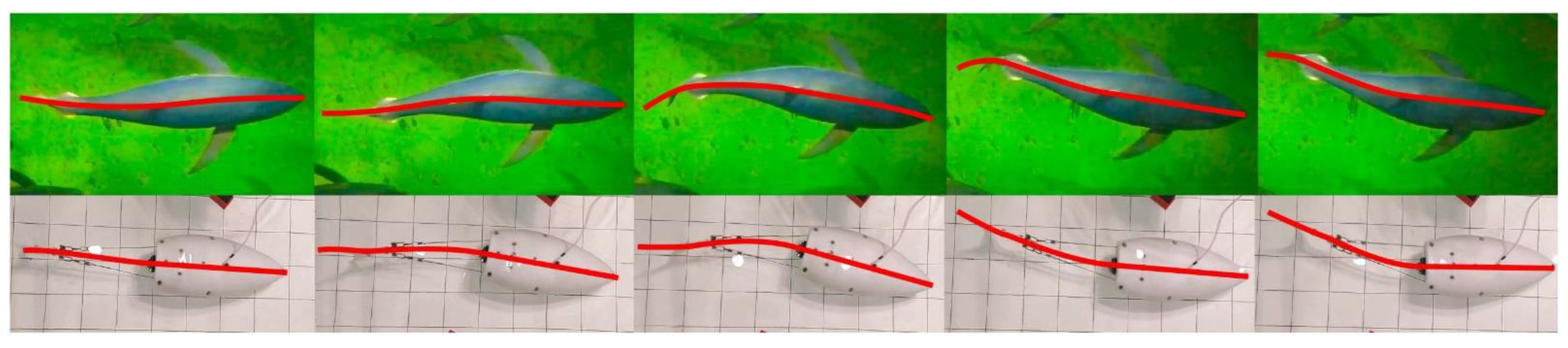 Biomimetics 07 00215 g005