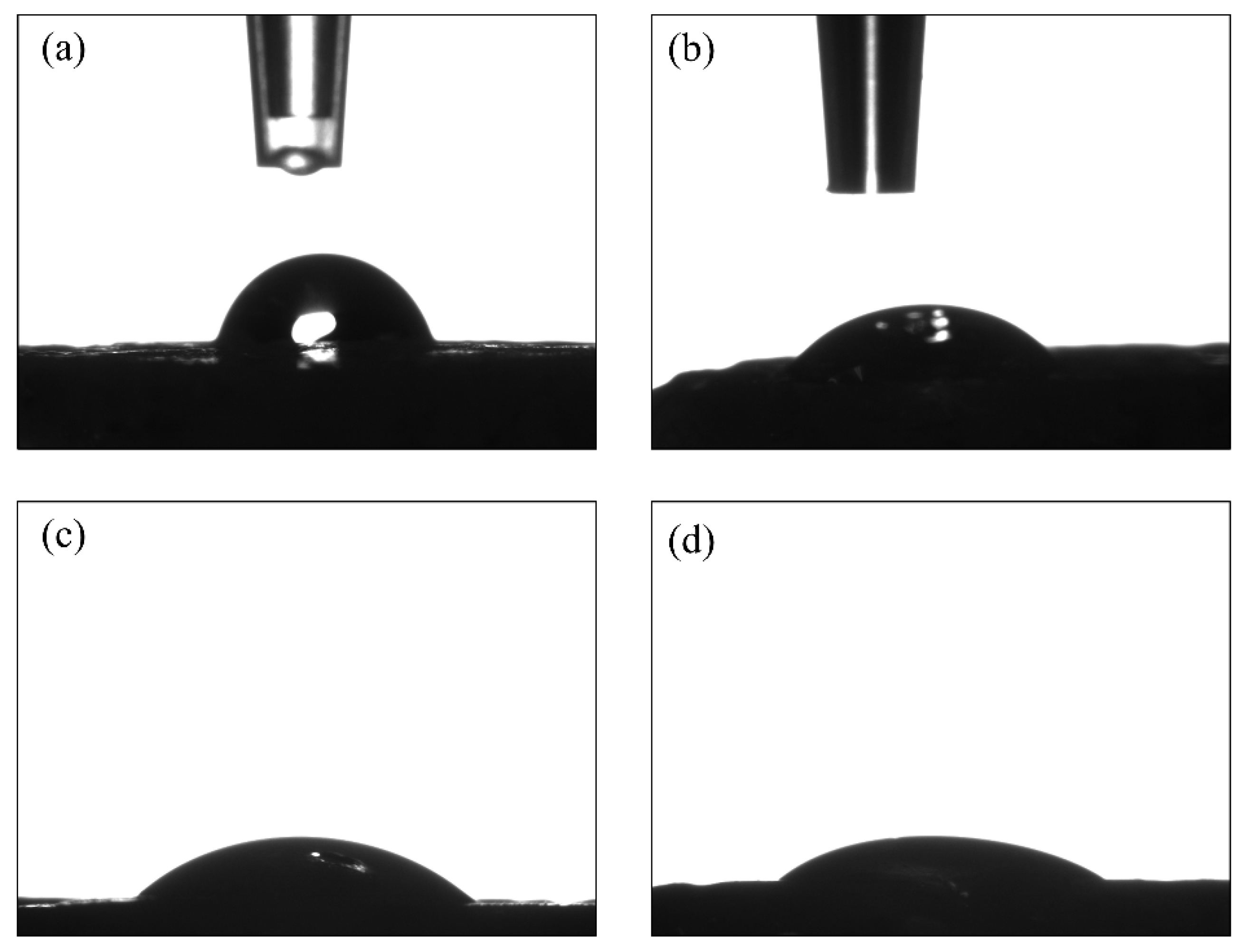 Biomimetics 07 00218 g004