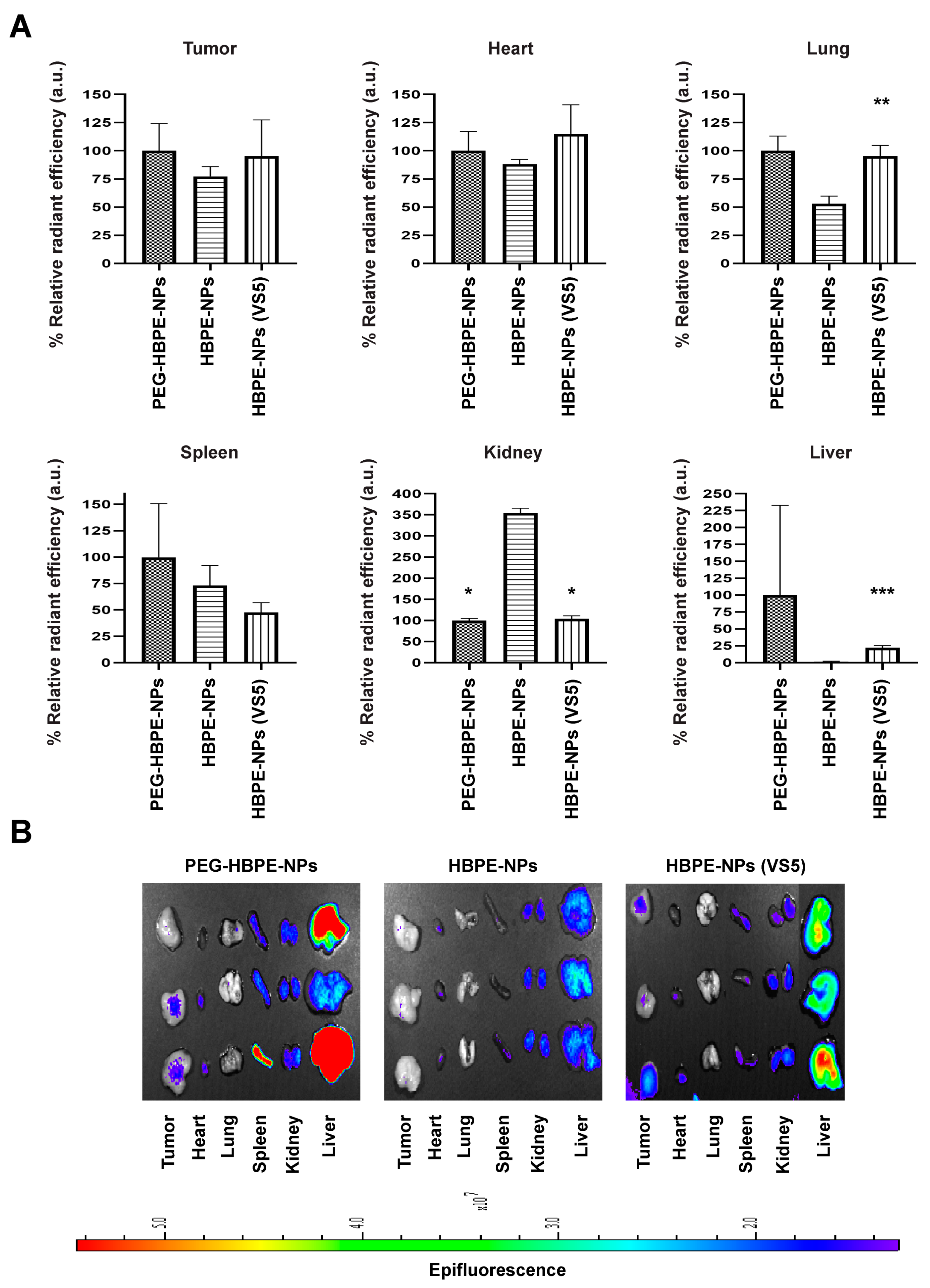 Biomimetics 07 00219 g005 Biomimetics 07 00219 g005