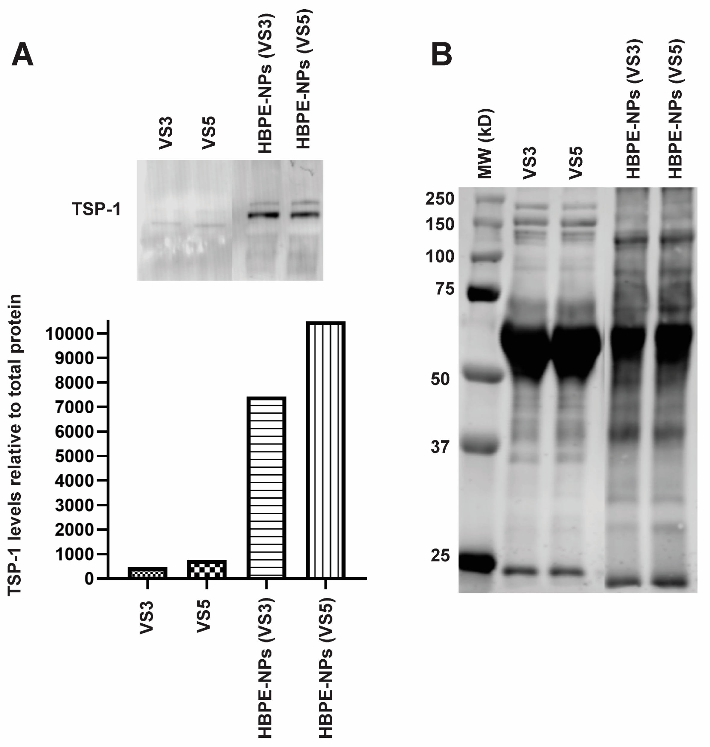 Biomimetics 07 00219 g006 Biomimetics 07 00219 g006