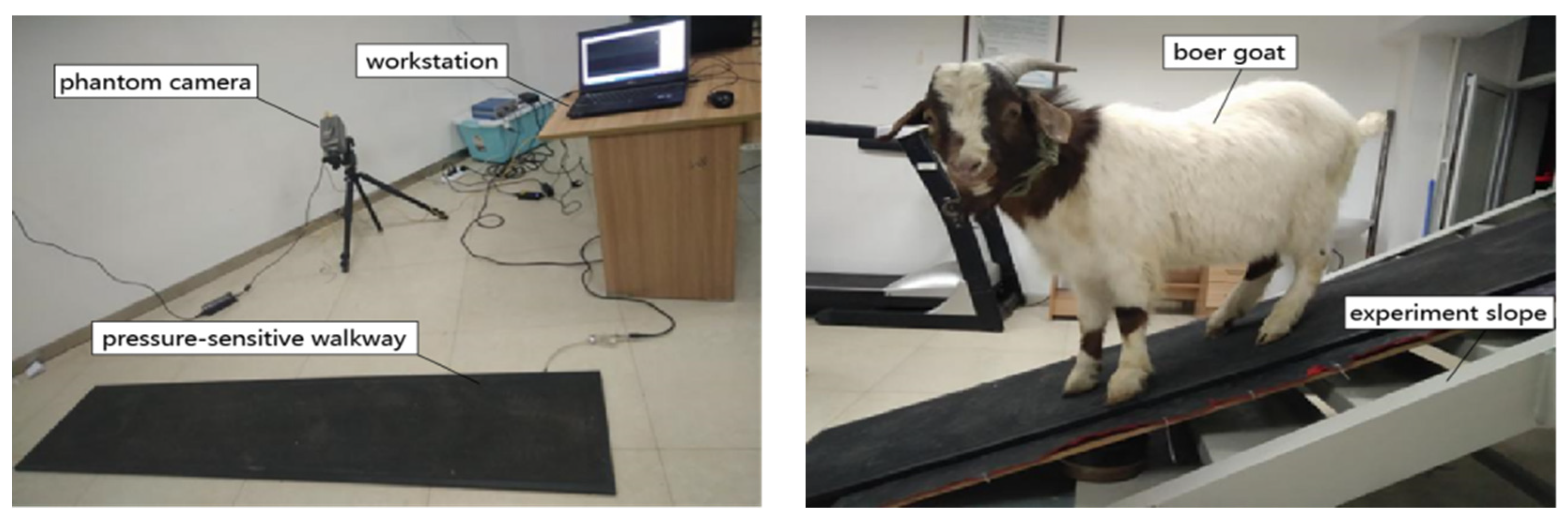 Biomimetics 07 00220 g001