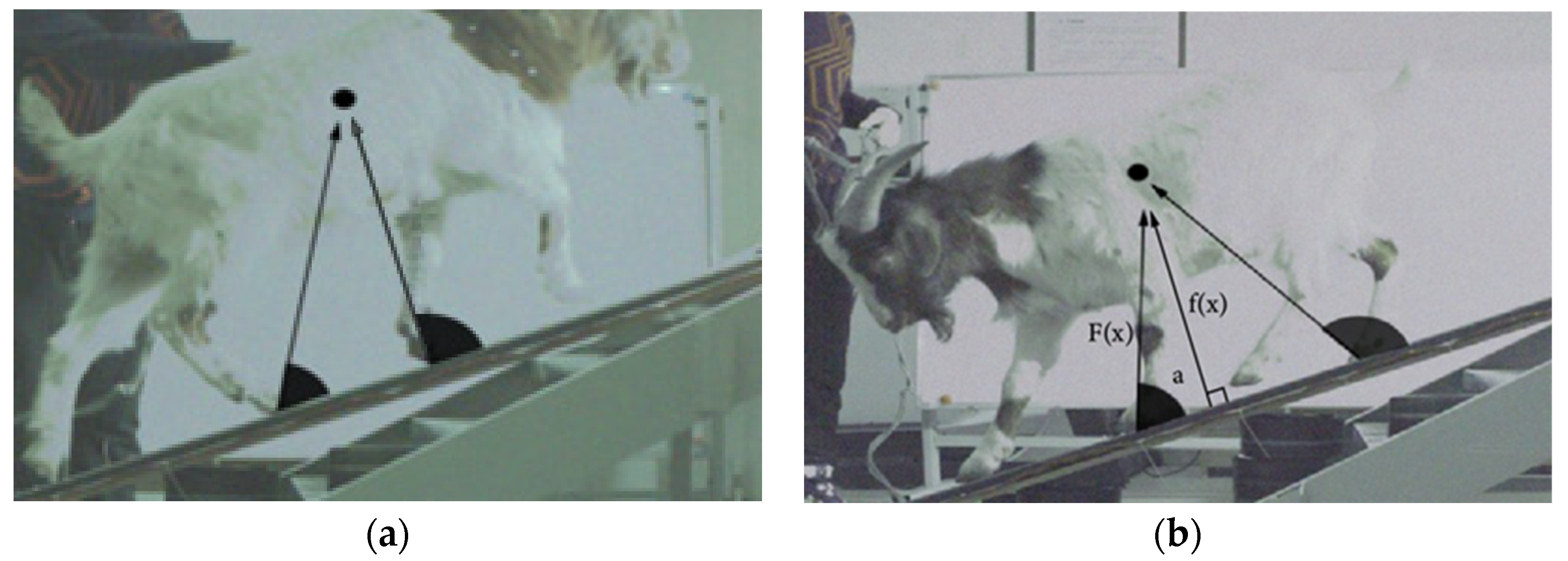 Biomimetics 07 00220 g002