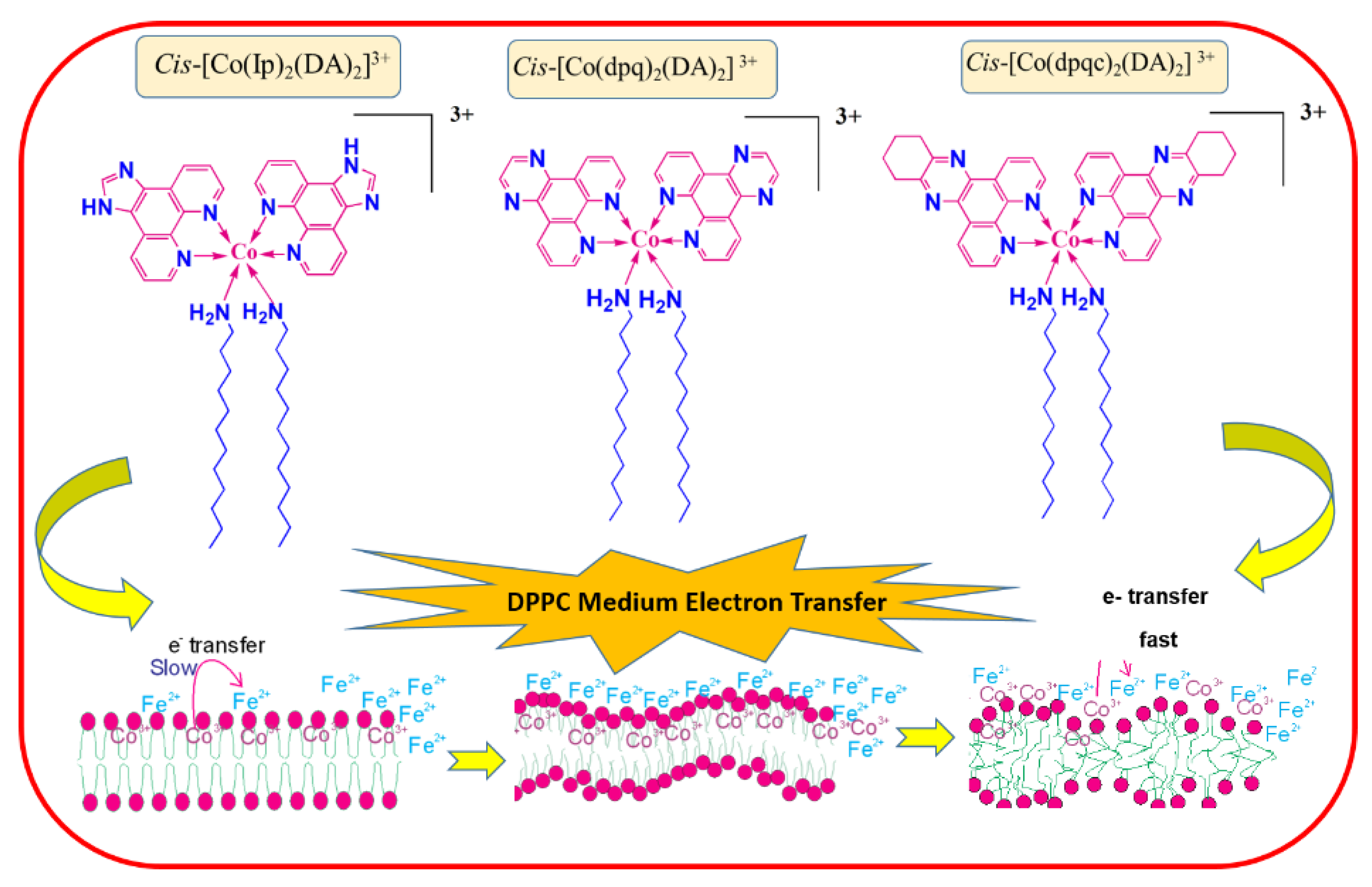 Biomimetics 07 00221 sch003 Biomimetics 07 00221 sch003