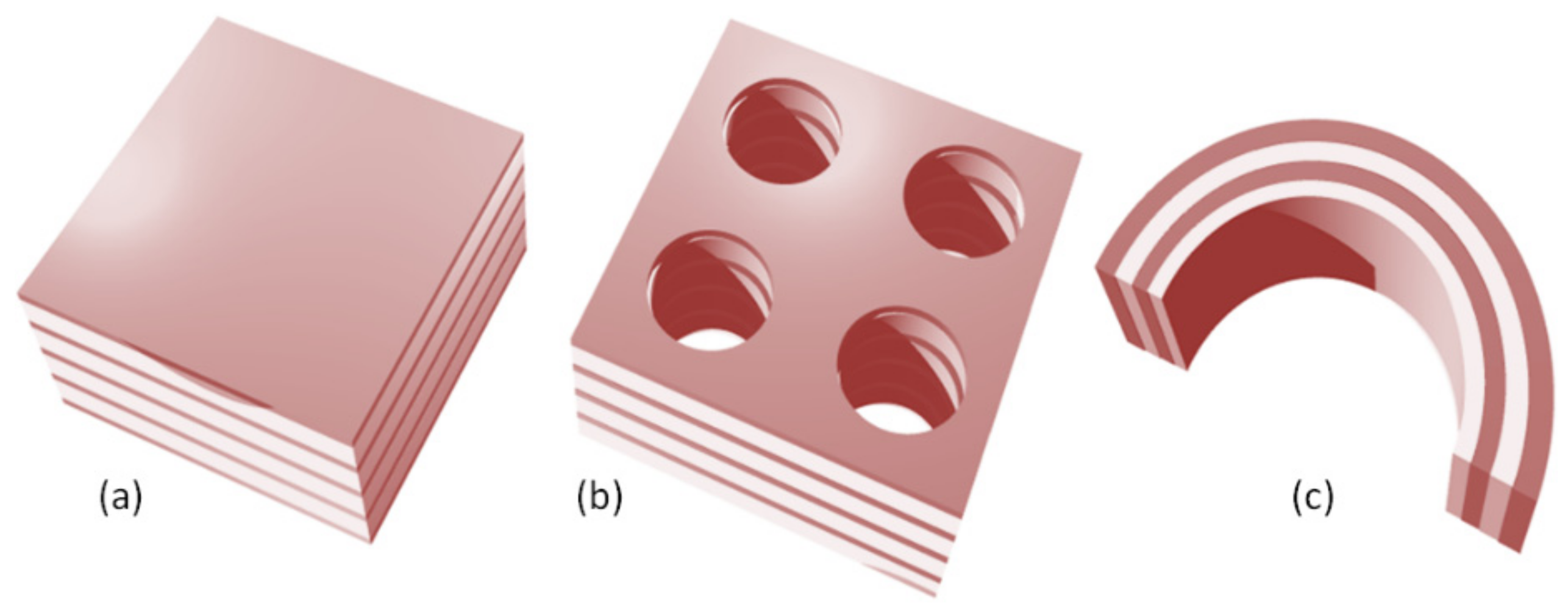 Biomimetics 07 00222 g010 Biomimetics 07 00222 g010