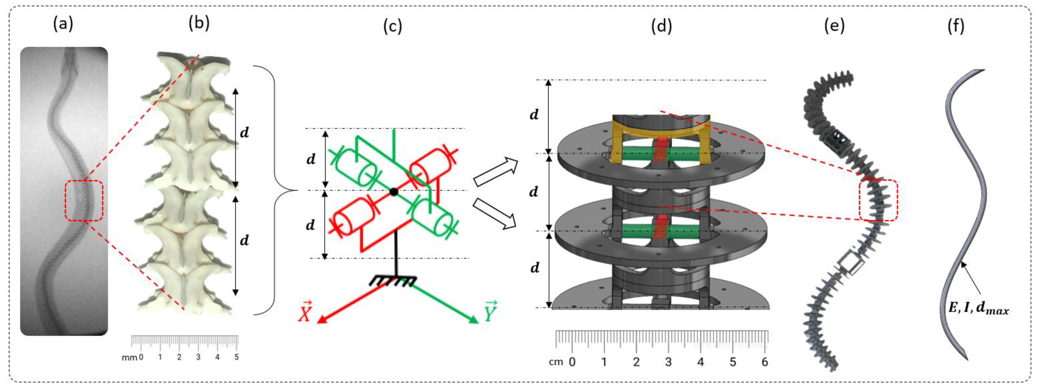 Biomimetics 07 00223 g002 Biomimetics 07 00223 g002