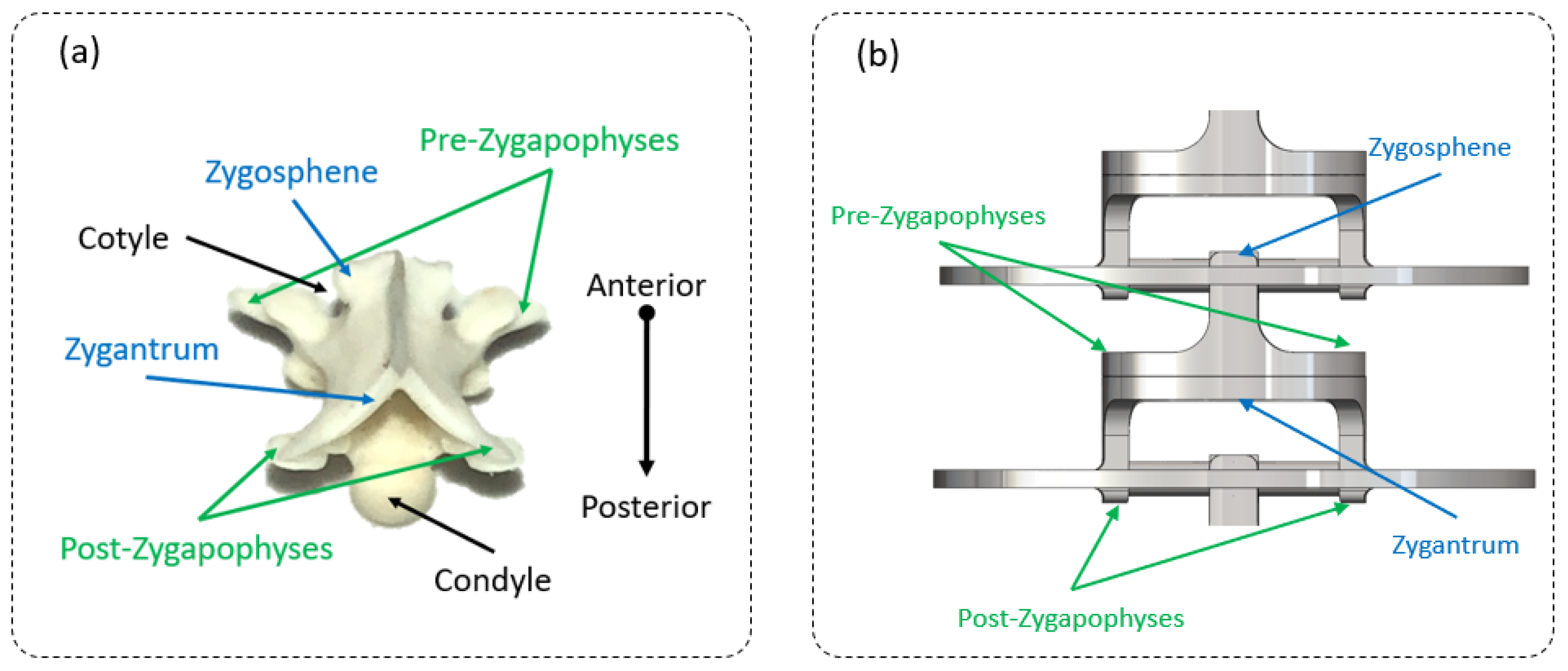 Biomimetics 07 00223 g003 Biomimetics 07 00223 g003