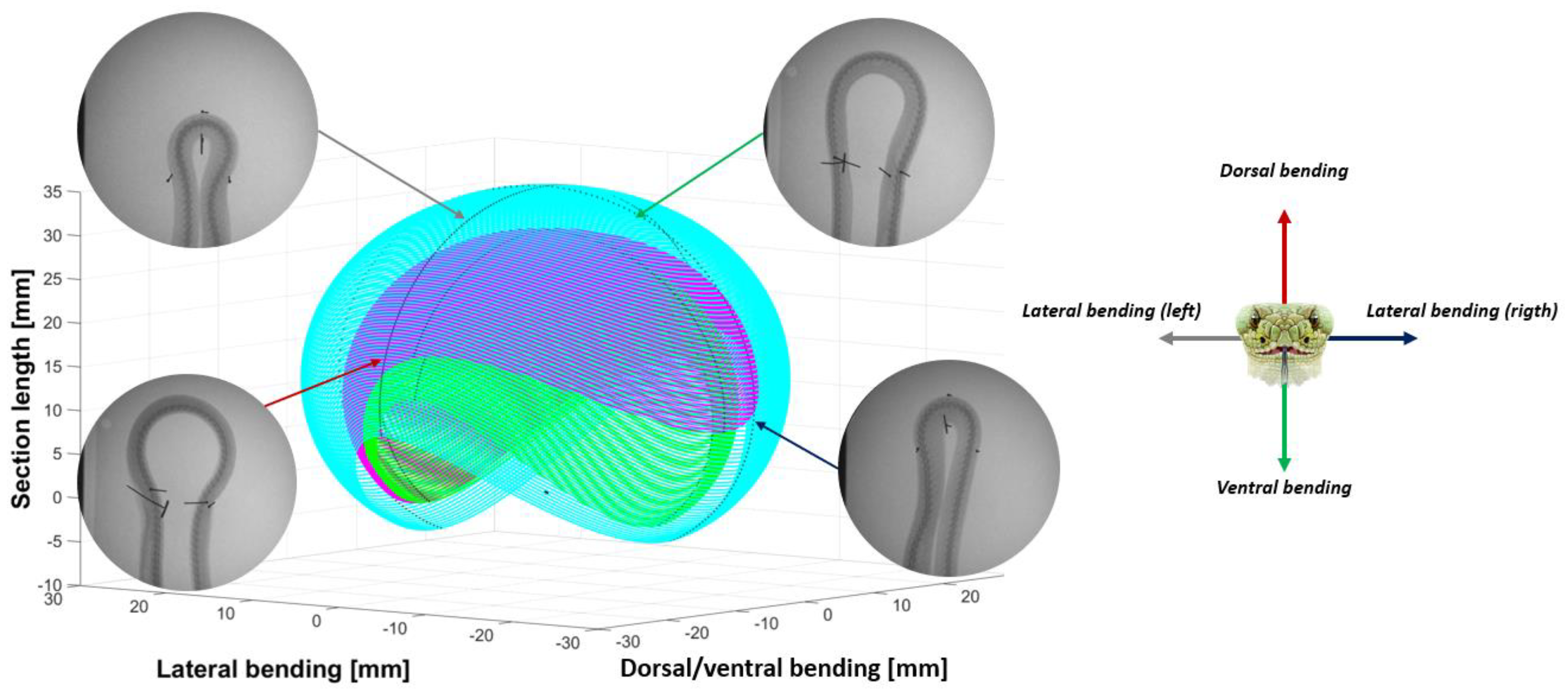 Biomimetics 07 00223 g004 Biomimetics 07 00223 g004