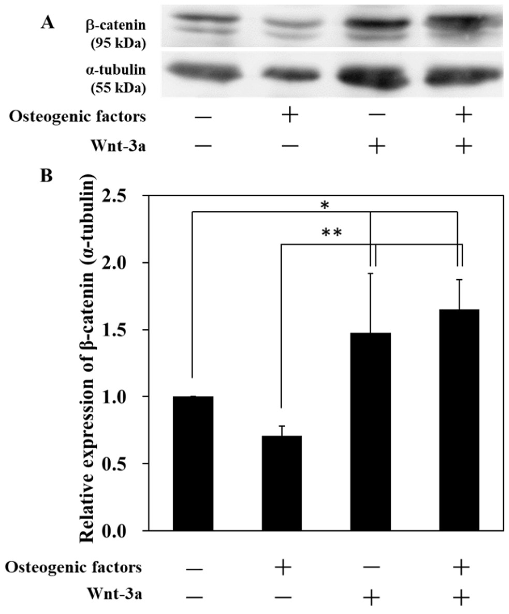 Biomimetics 07 00224 g002