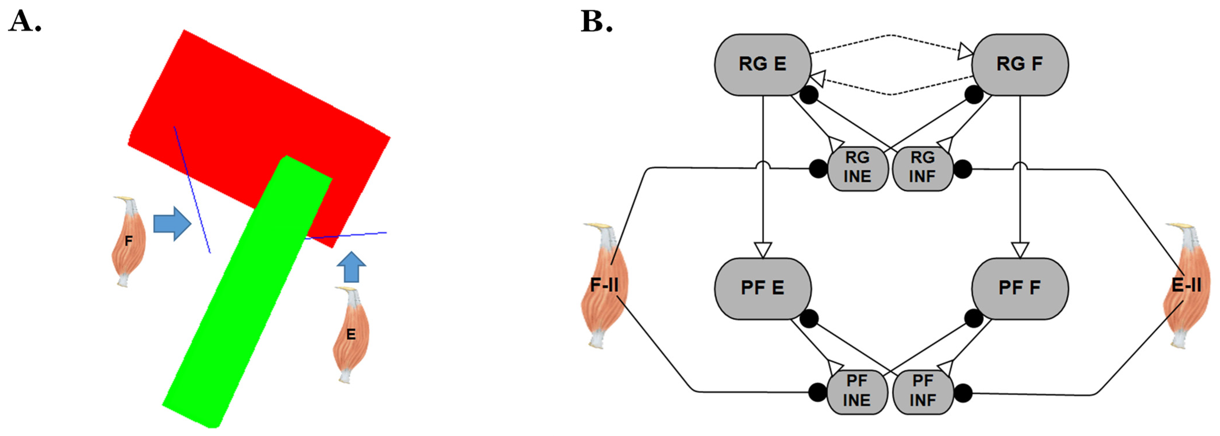 Biomimetics 07 00226 g008 Biomimetics 07 00226 g008
