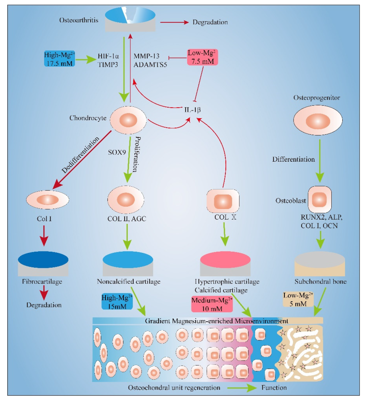 Biomimetics 07 00227 g007 Biomimetics 07 00227 g007