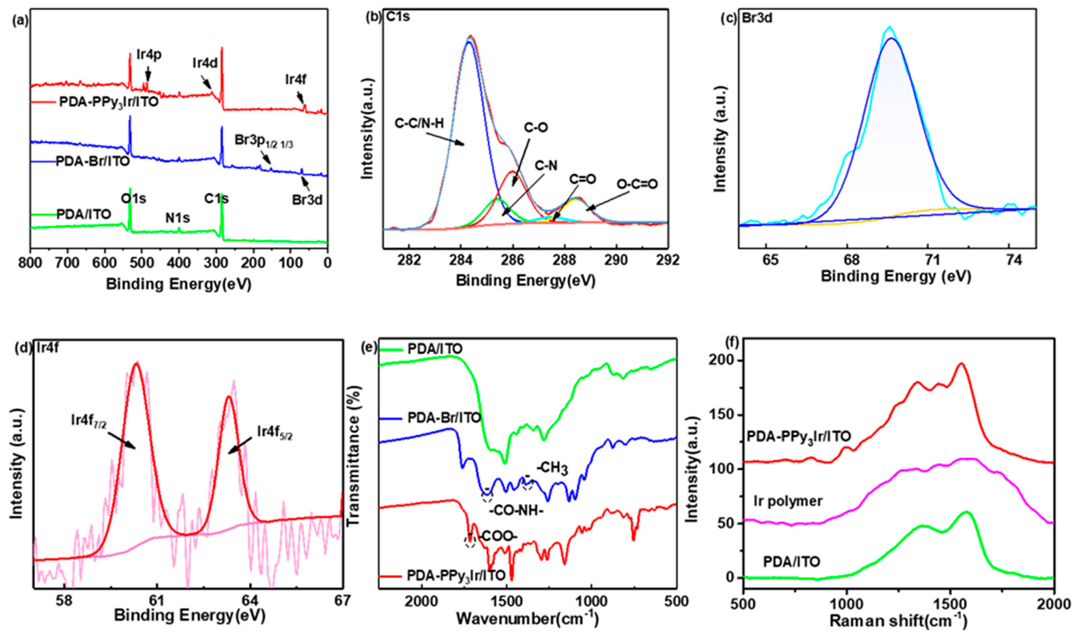 Biomimetics 07 00237 g001 Biomimetics 07 00237 g001