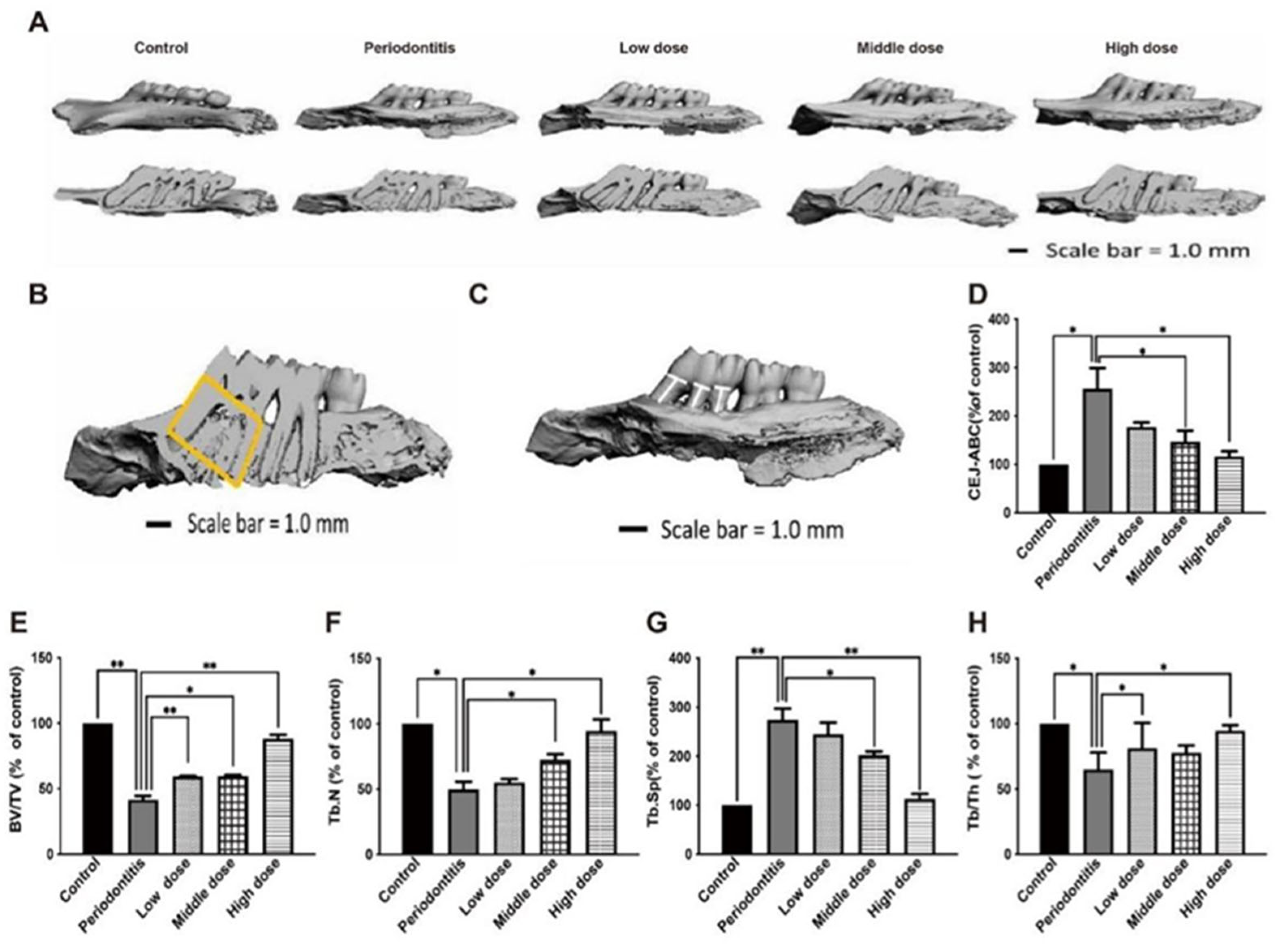 Biomimetics 07 00240 g005 Biomimetics 07 00240 g005
