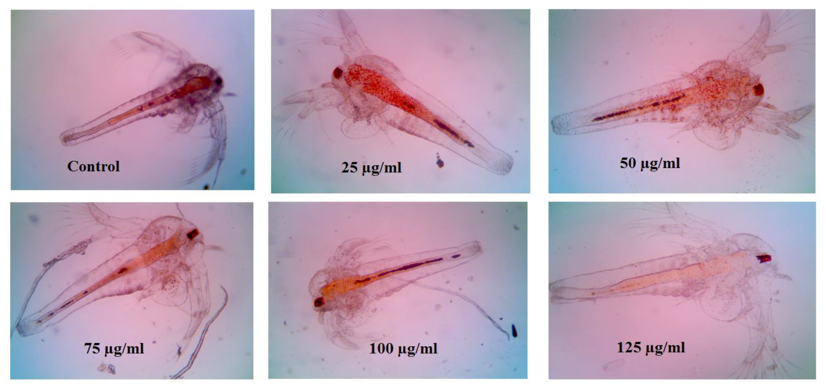 Biomimetics 07 00242 g007 Biomimetics 07 00242 g007