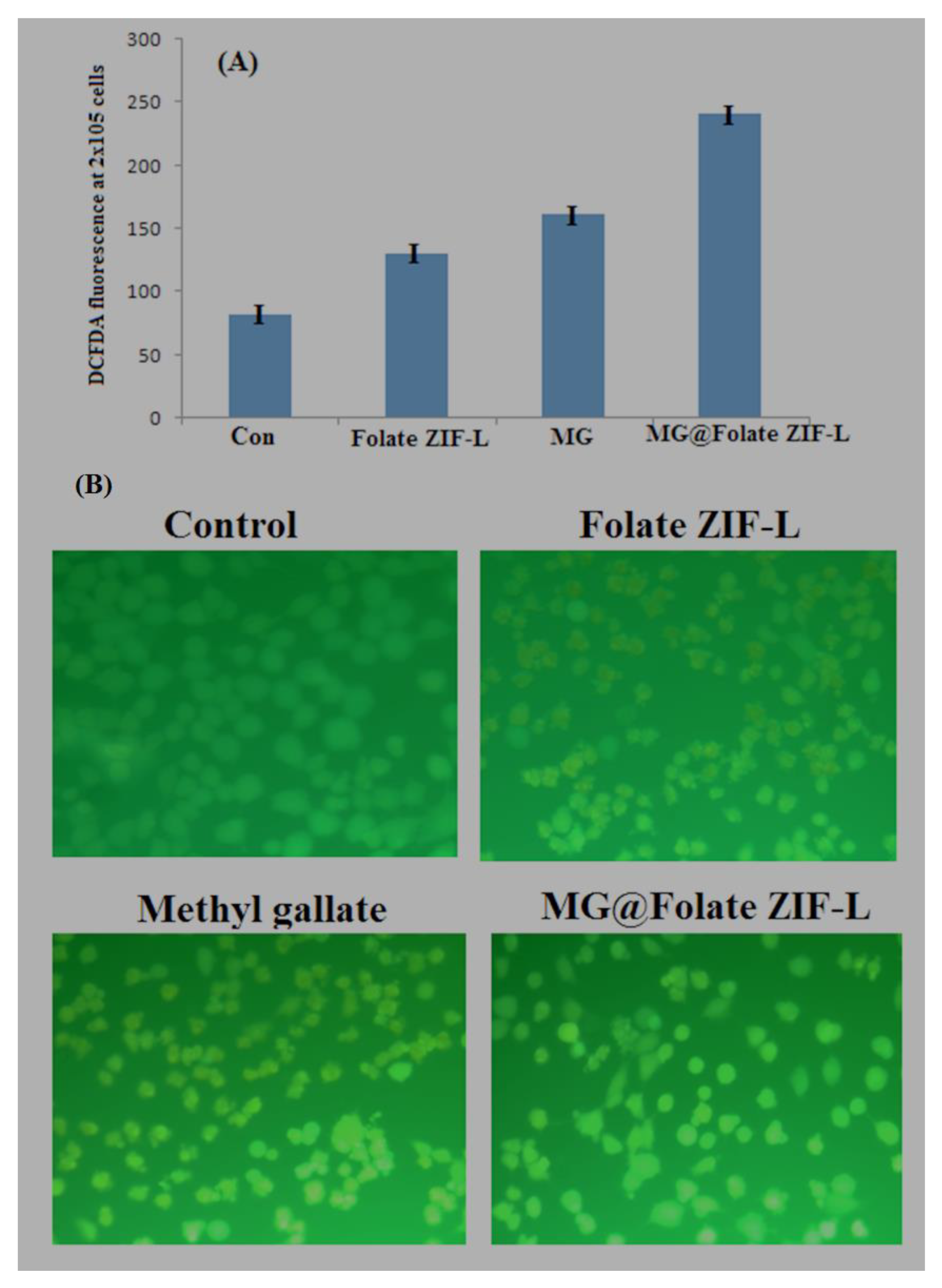 Biomimetics 07 00242 g011 Biomimetics 07 00242 g011