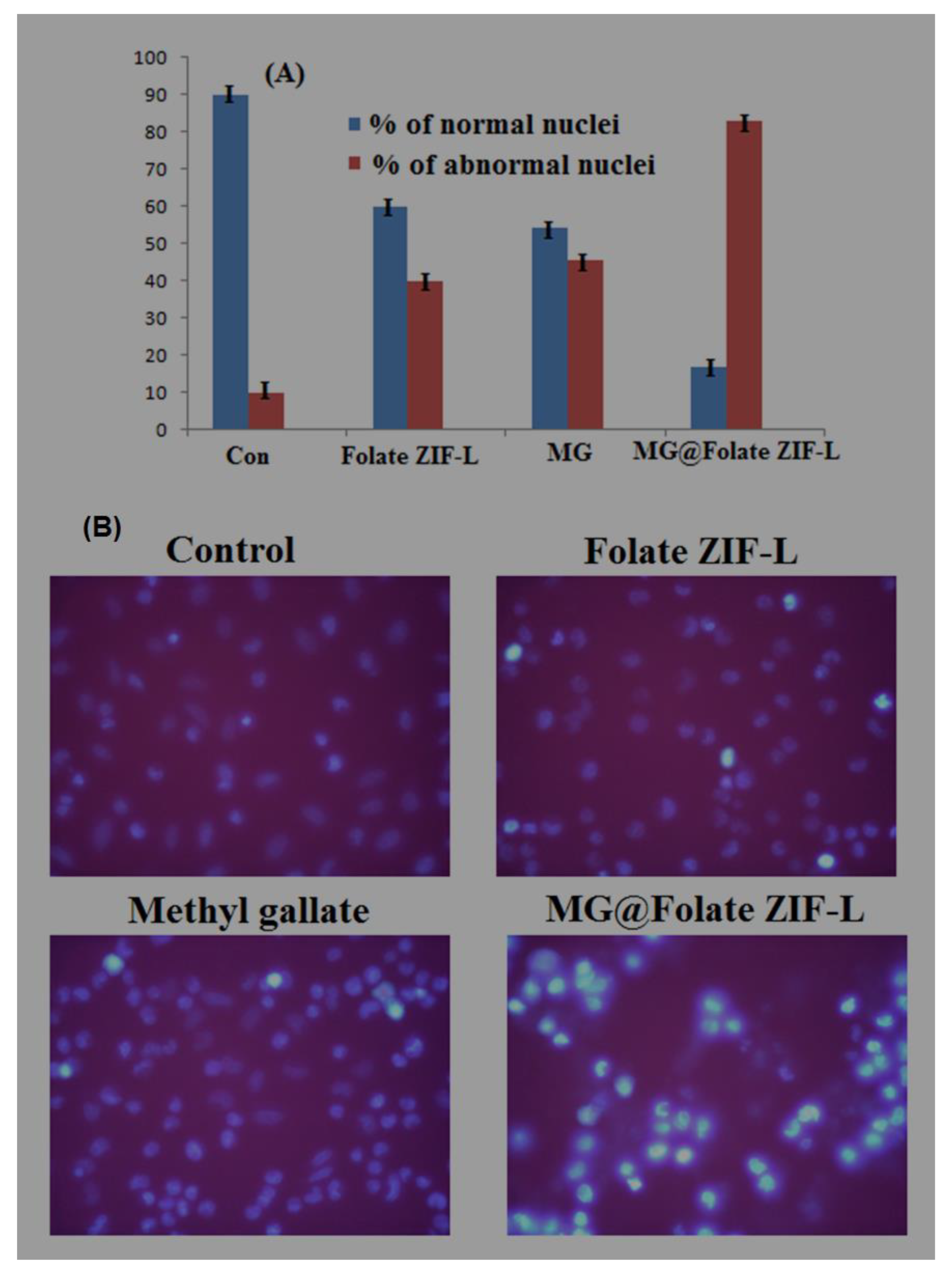 Biomimetics 07 00242 g012 Biomimetics 07 00242 g012
