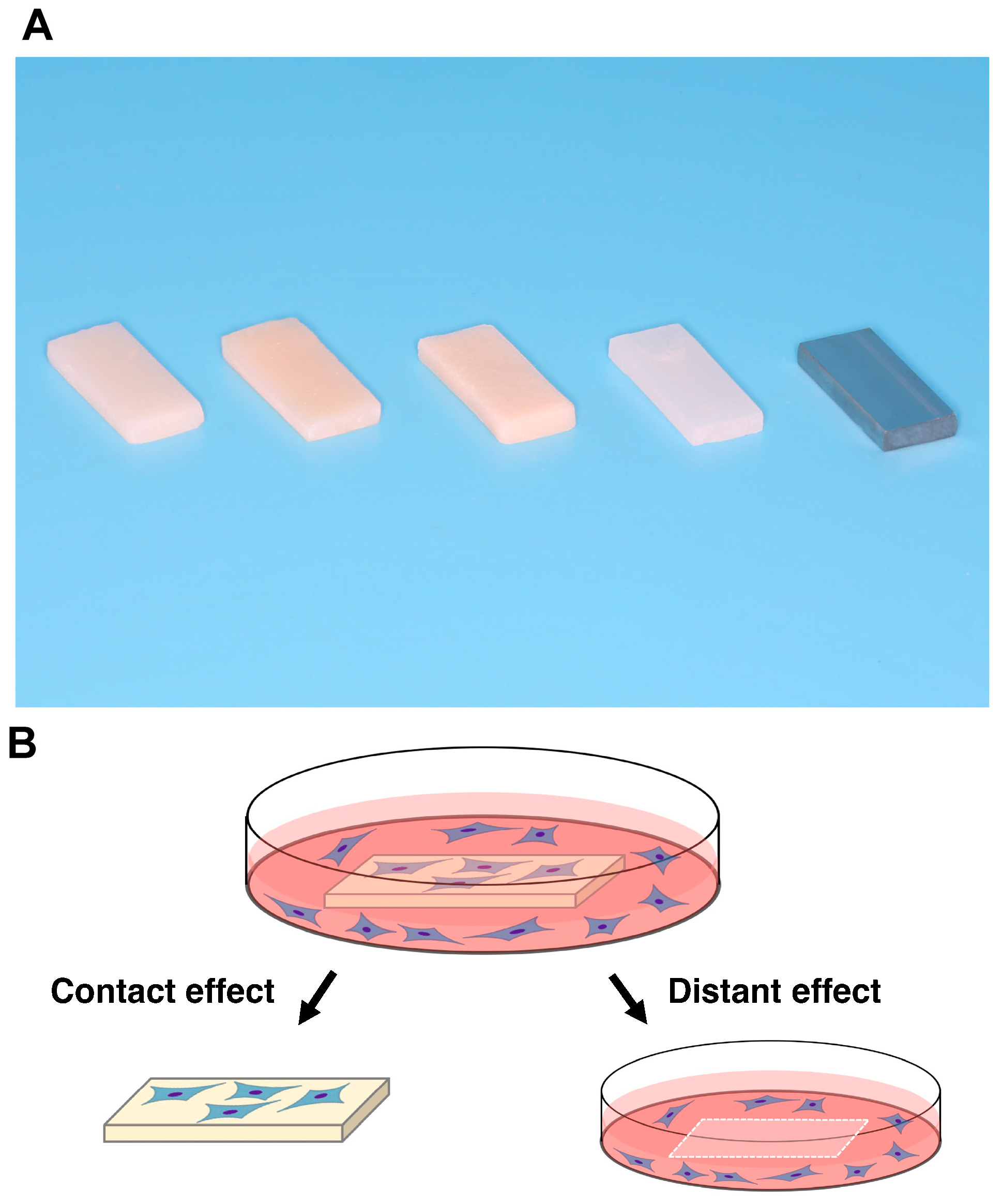 Biomimetics 07 00243 g001 Biomimetics 07 00243 g001