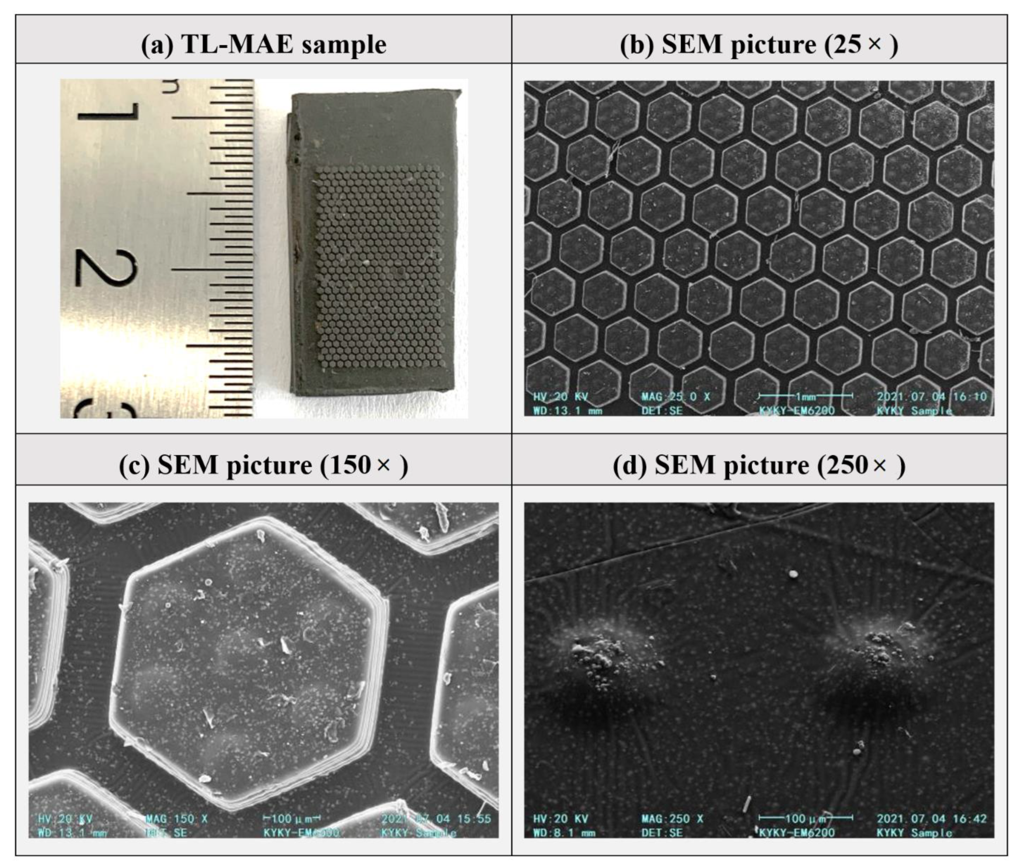 Biomimetics 07 00245 g004 Biomimetics 07 00245 g004