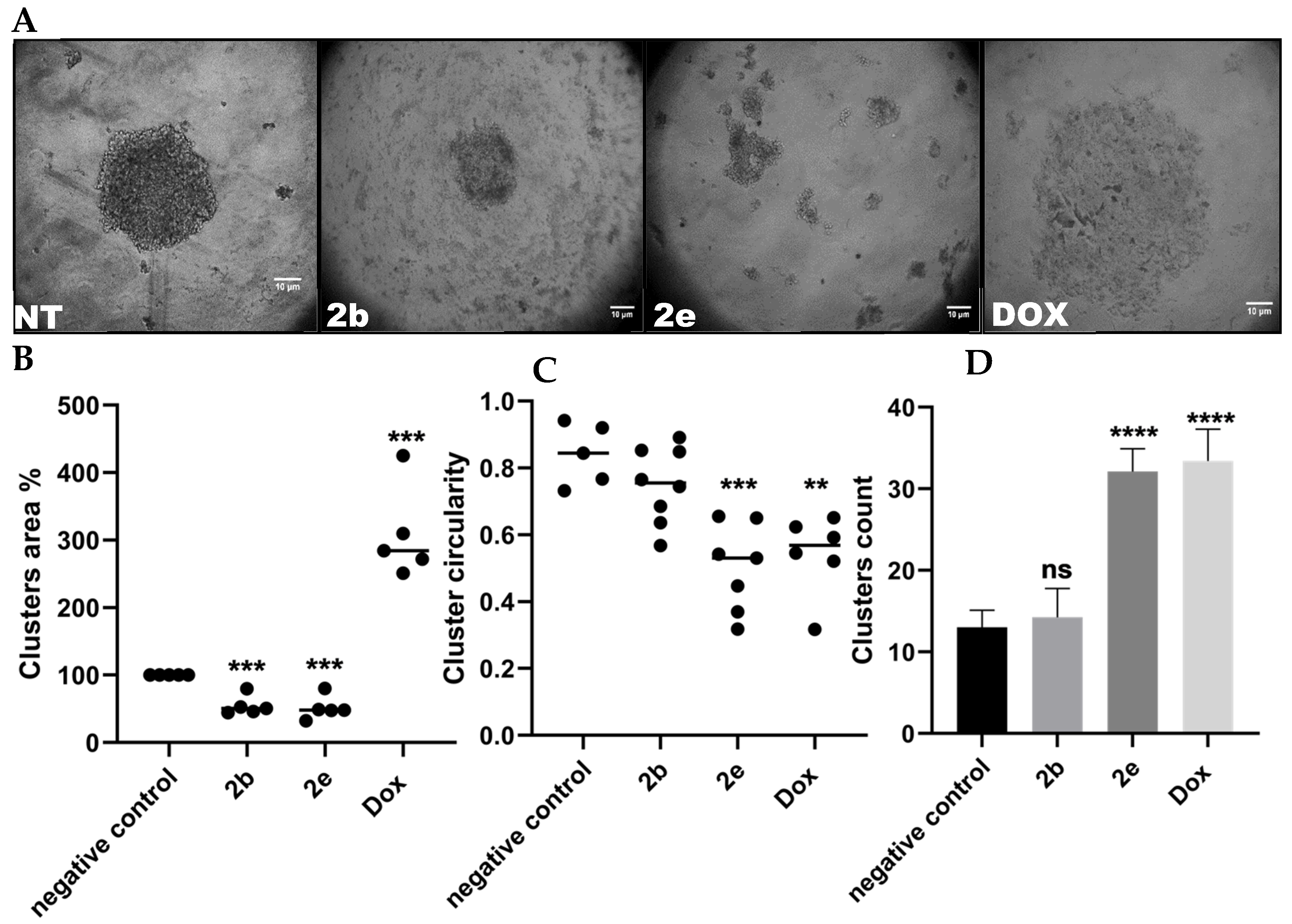 Biomimetics 07 00247 g002