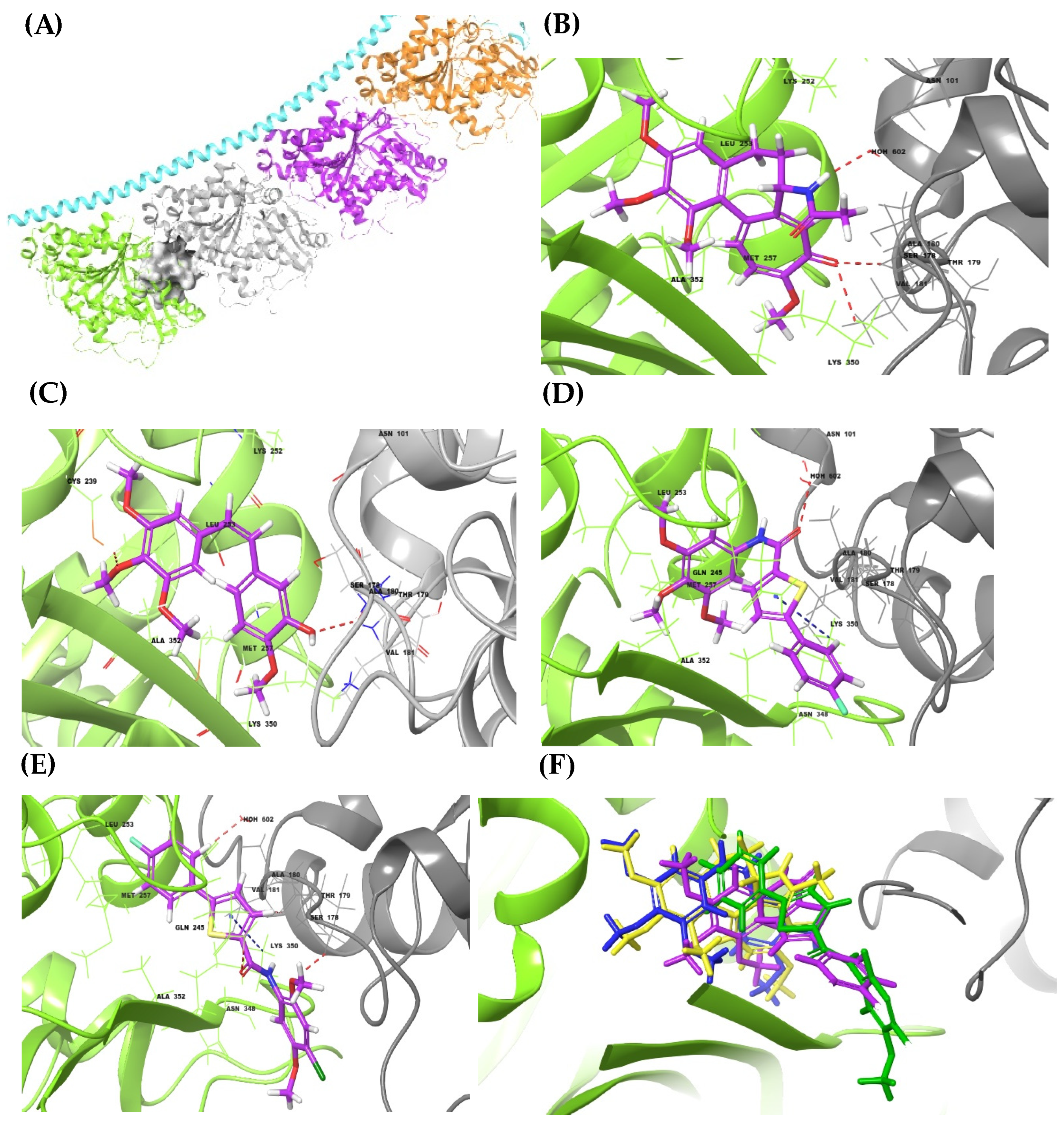 Biomimetics 07 00247 g004