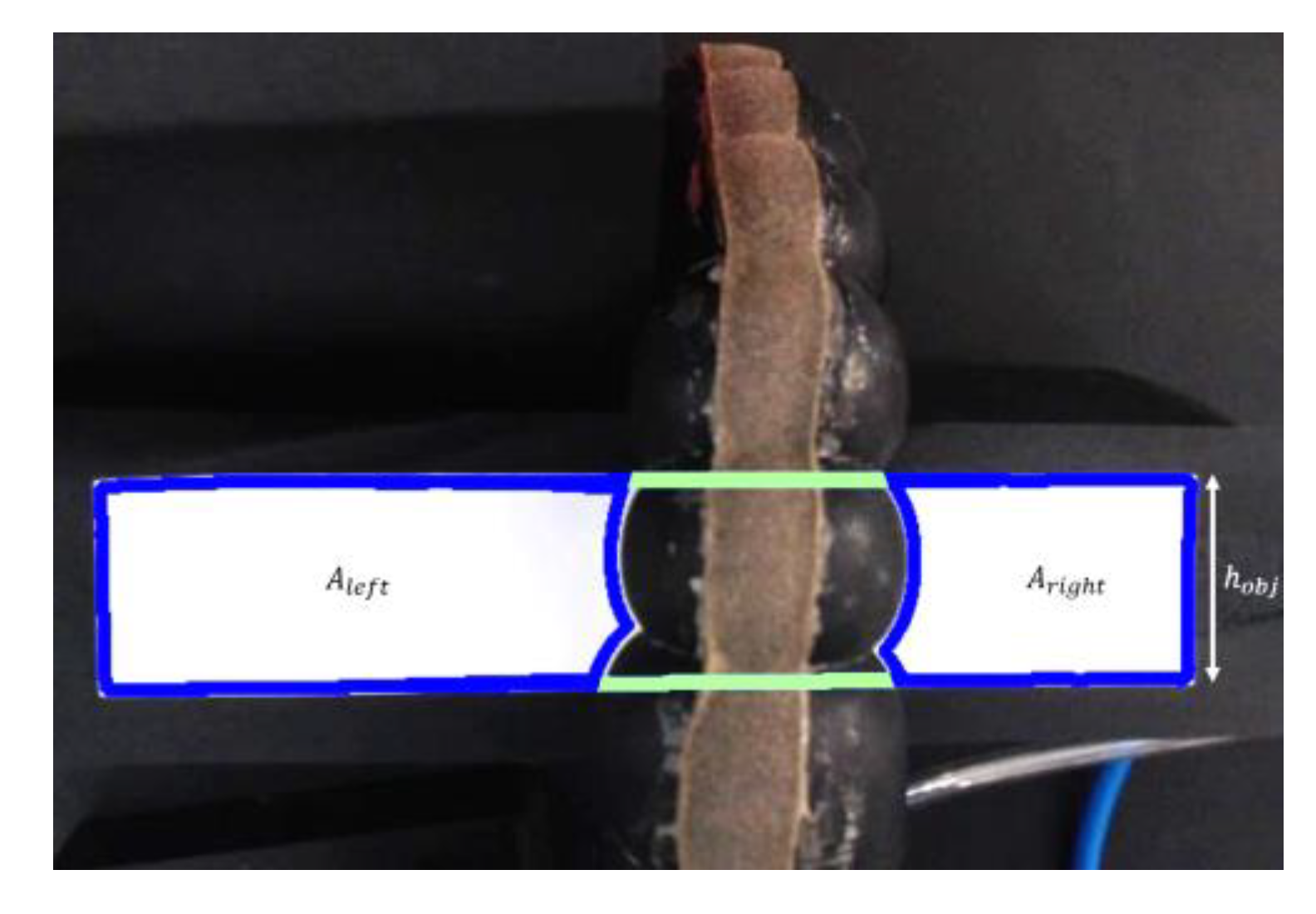 Biomimetics 07 00249 g004 Biomimetics 07 00249 g004