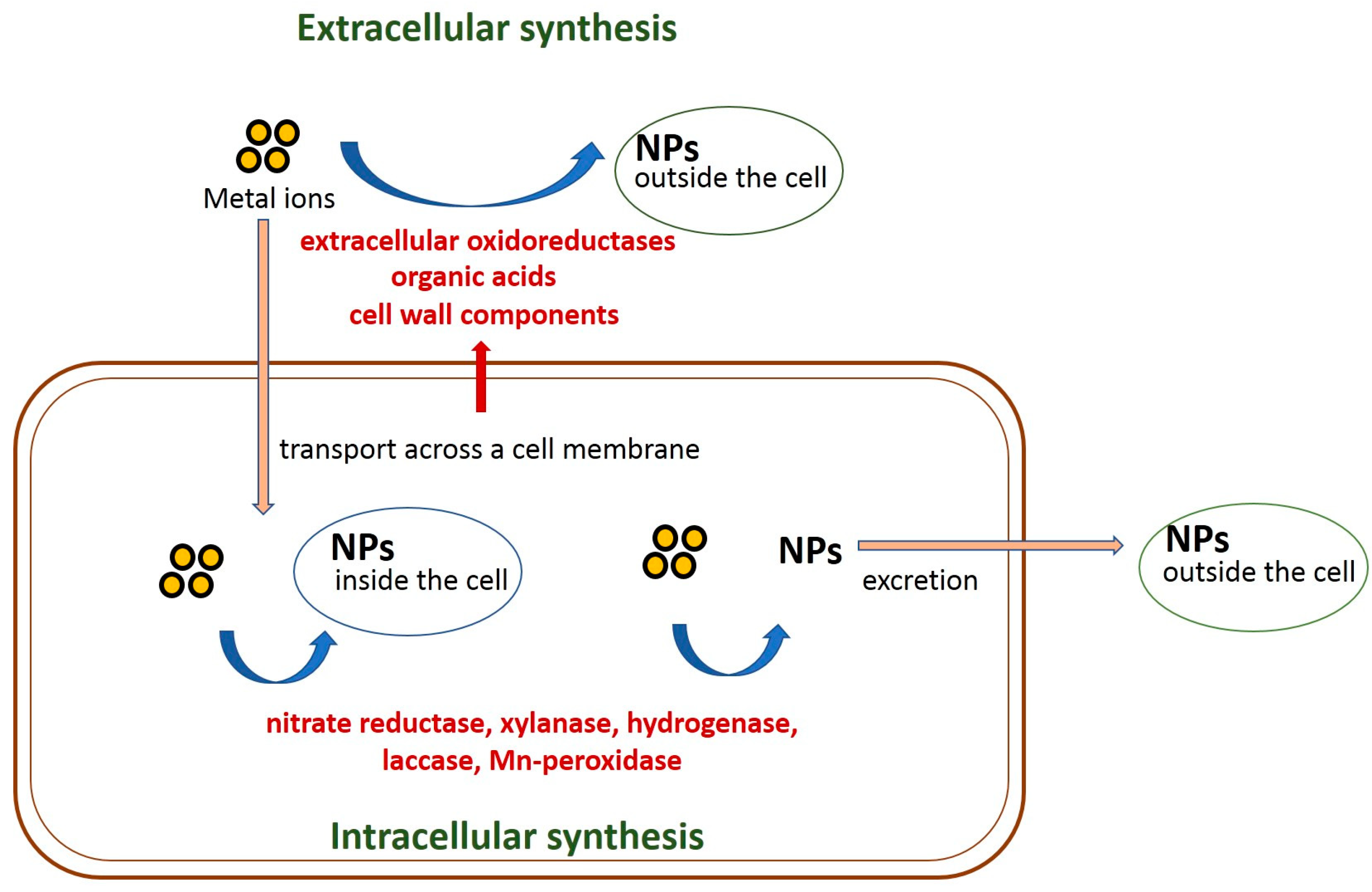 Biomimetics 08 00001 g001