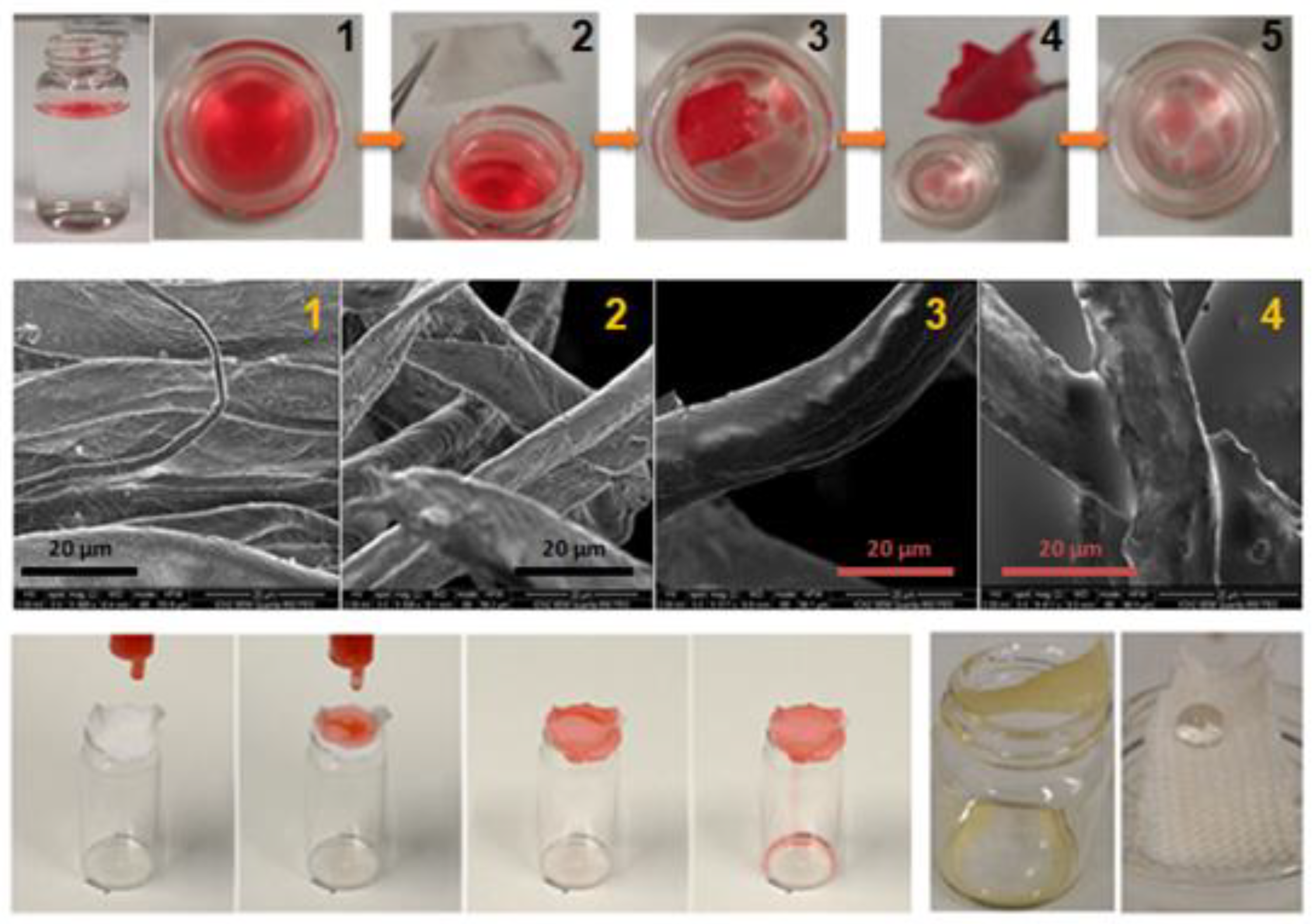Biomimetics 08 00003 g002 Biomimetics 08 00003 g002