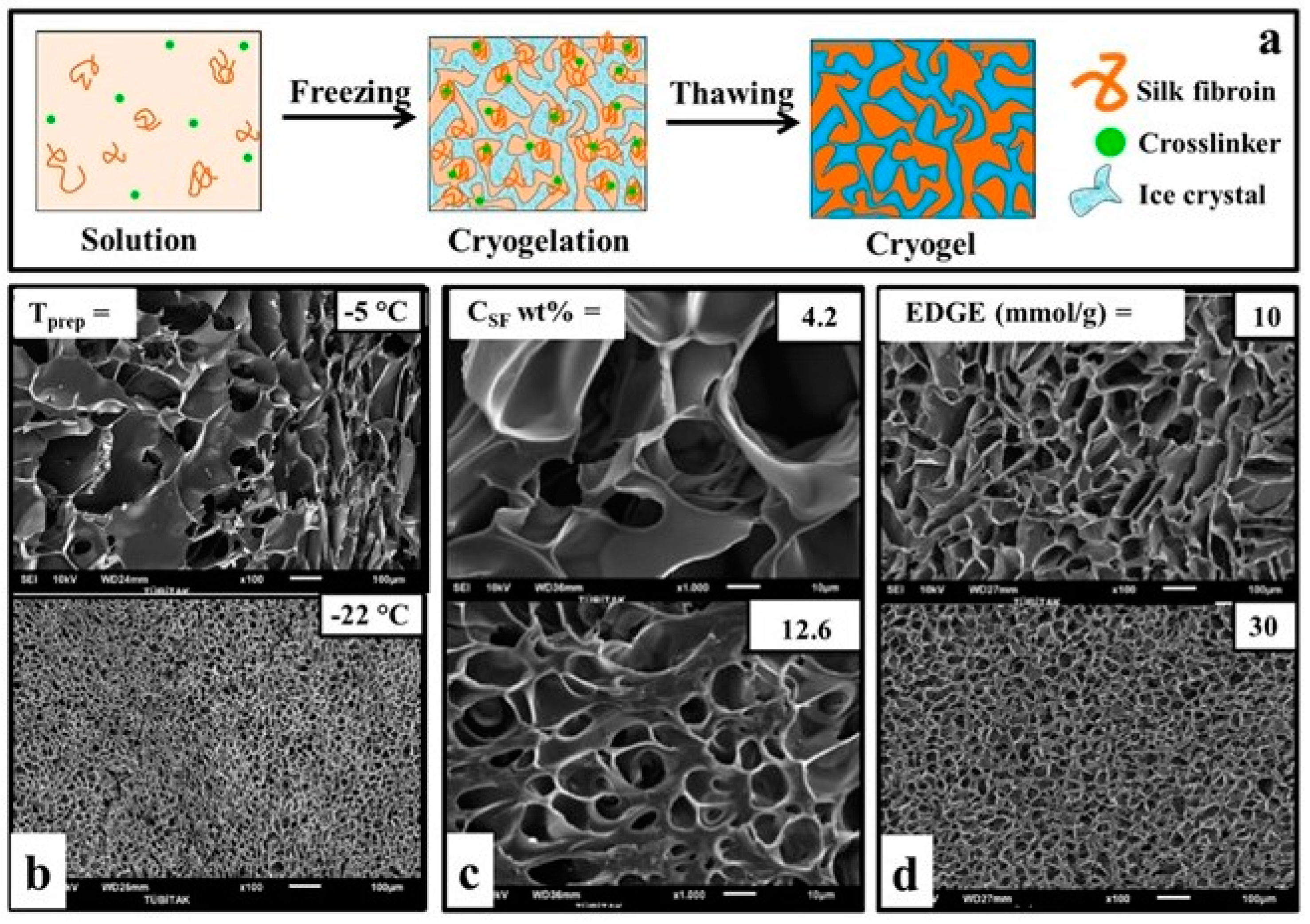 Biomimetics 08 00005 g001 Biomimetics 08 00005 g001
