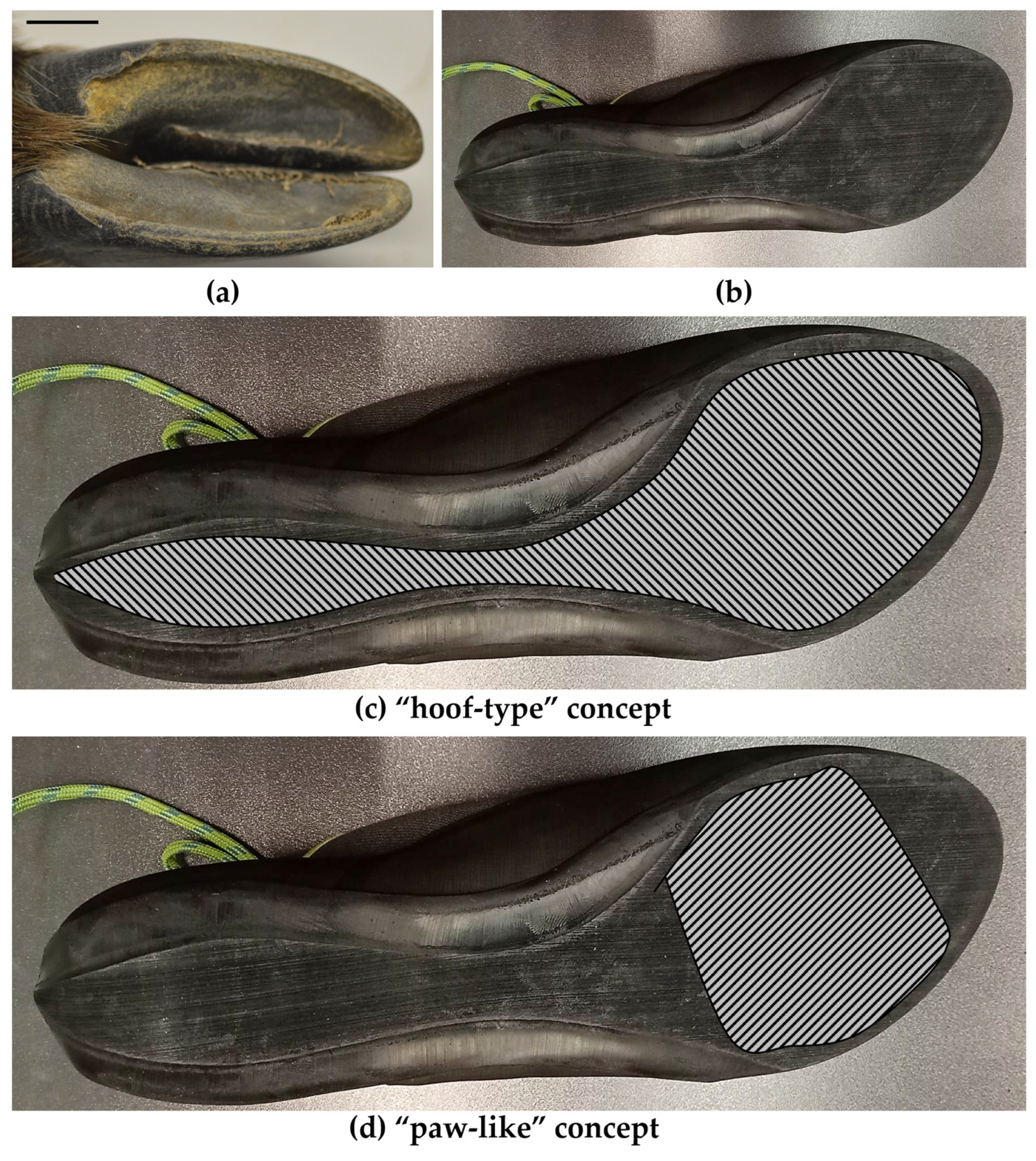 Beam sales climbing shoes