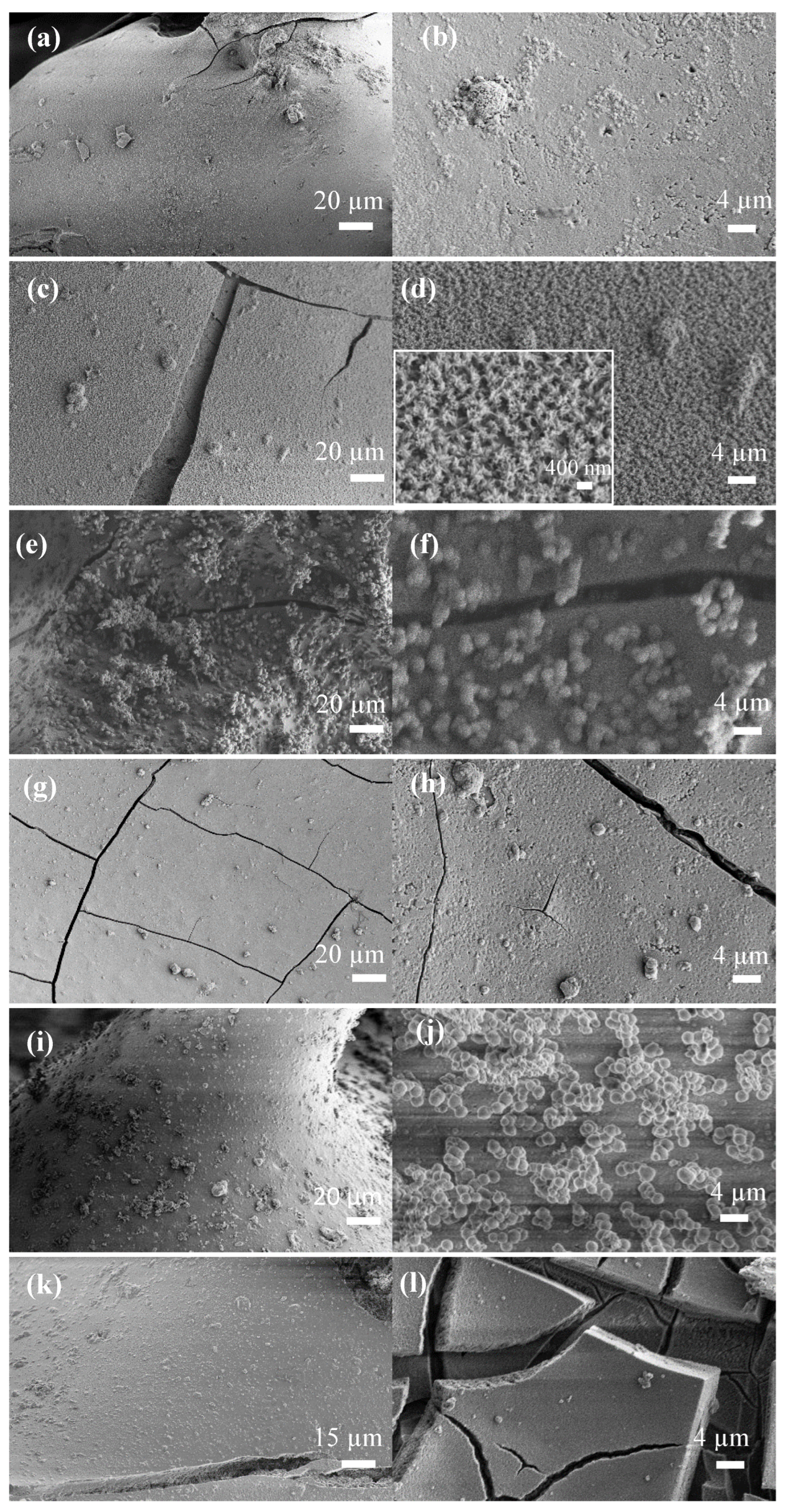Biomimetics 08 00010 g006 Biomimetics 08 00010 g006